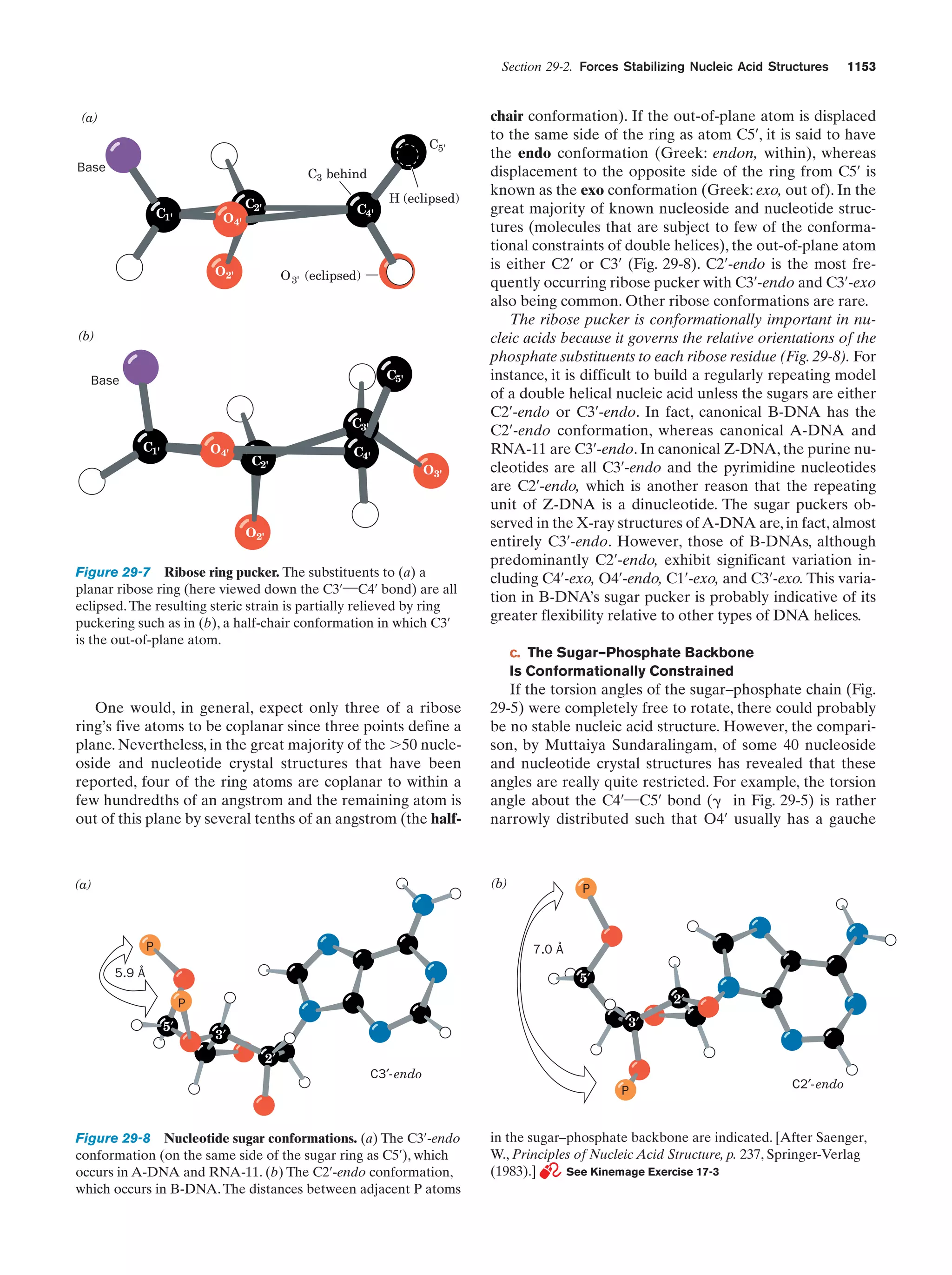 Biochemistry.4th.edition
