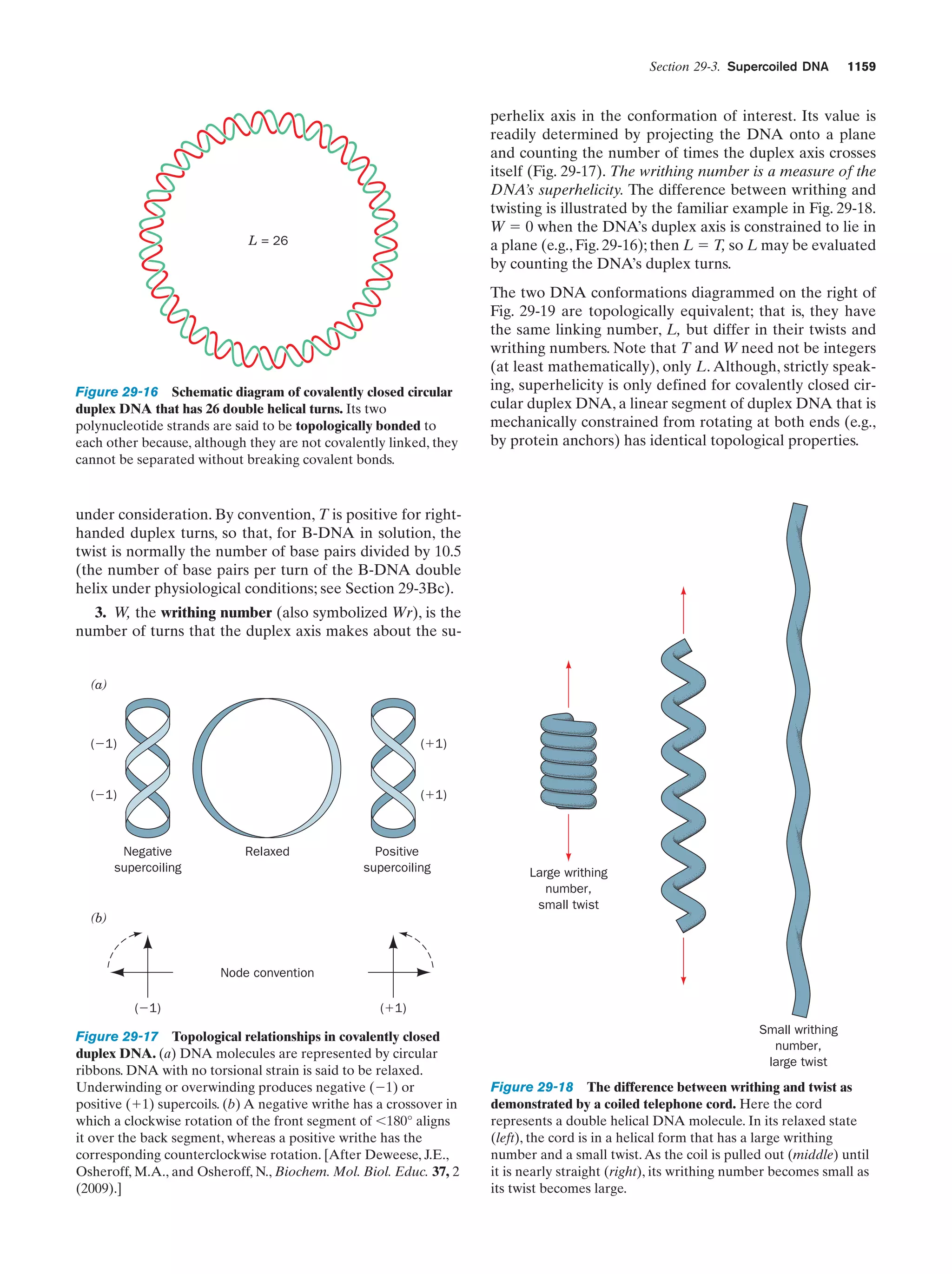 Biochemistry.4th.edition