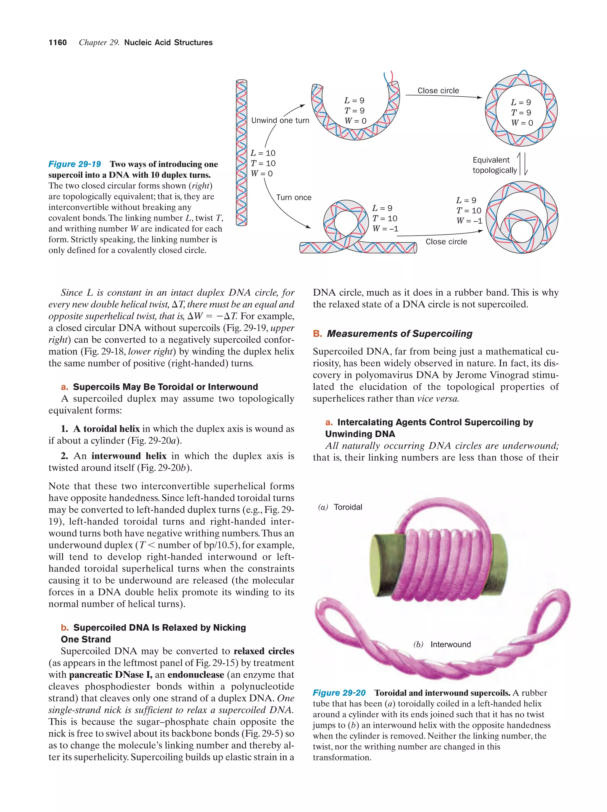 Biochemistry.4th.edition