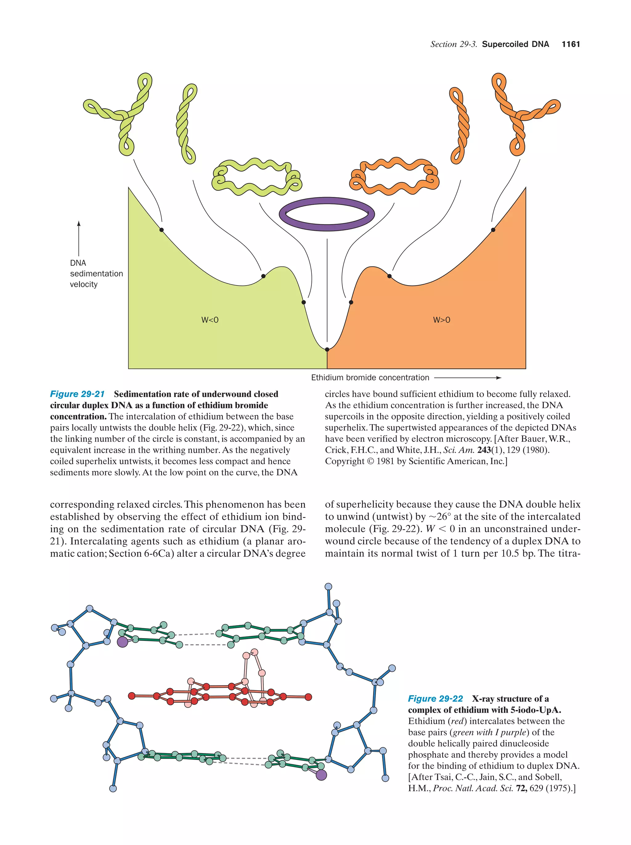 Biochemistry.4th.edition