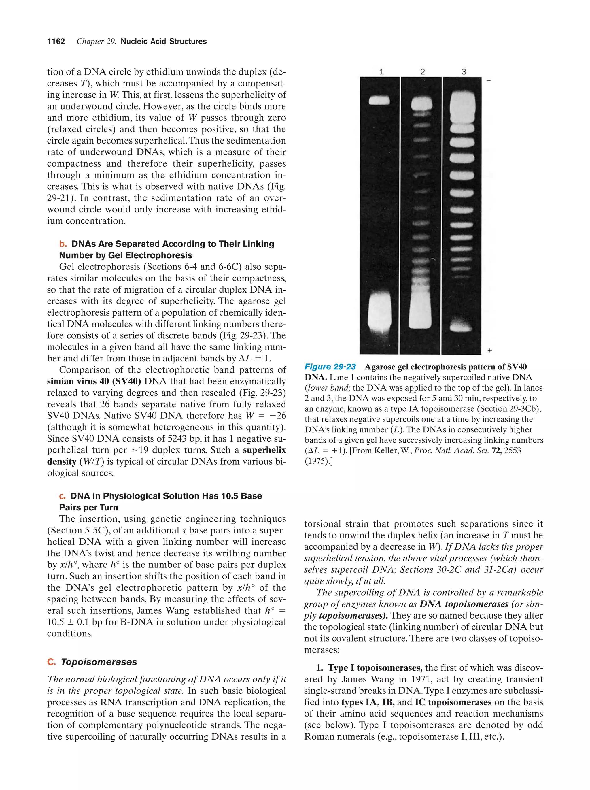Biochemistry.4th.edition