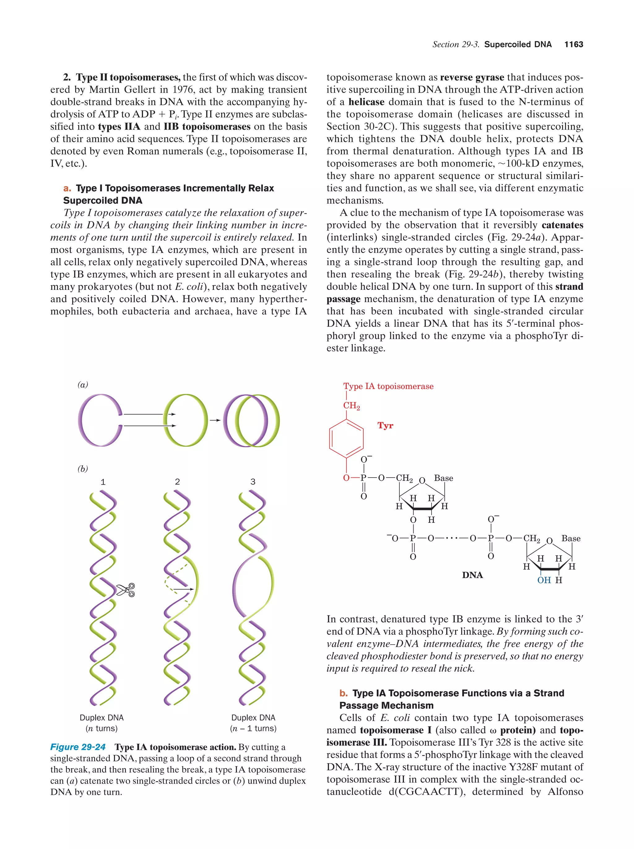 Biochemistry.4th.edition