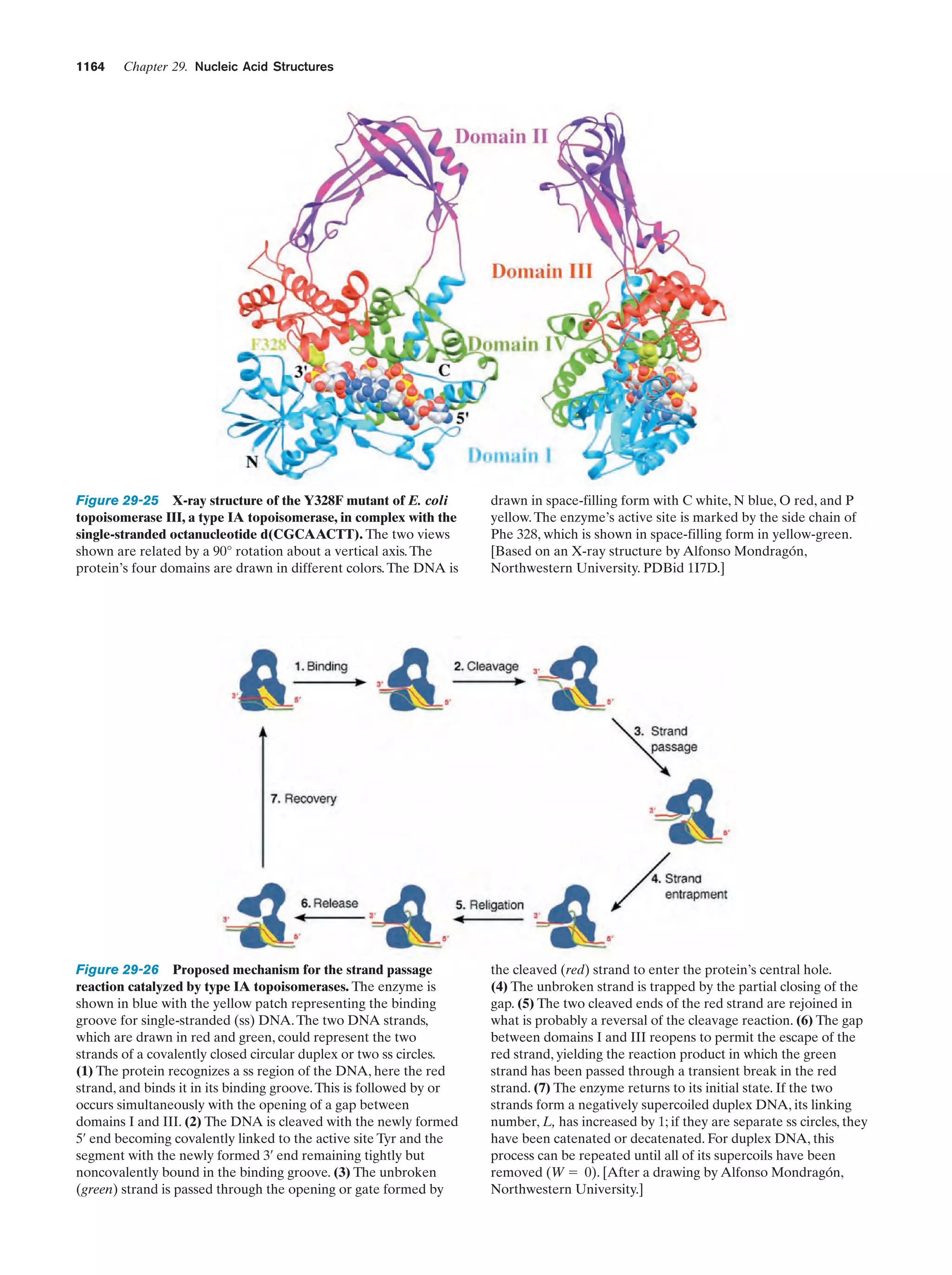 Biochemistry.4th.edition