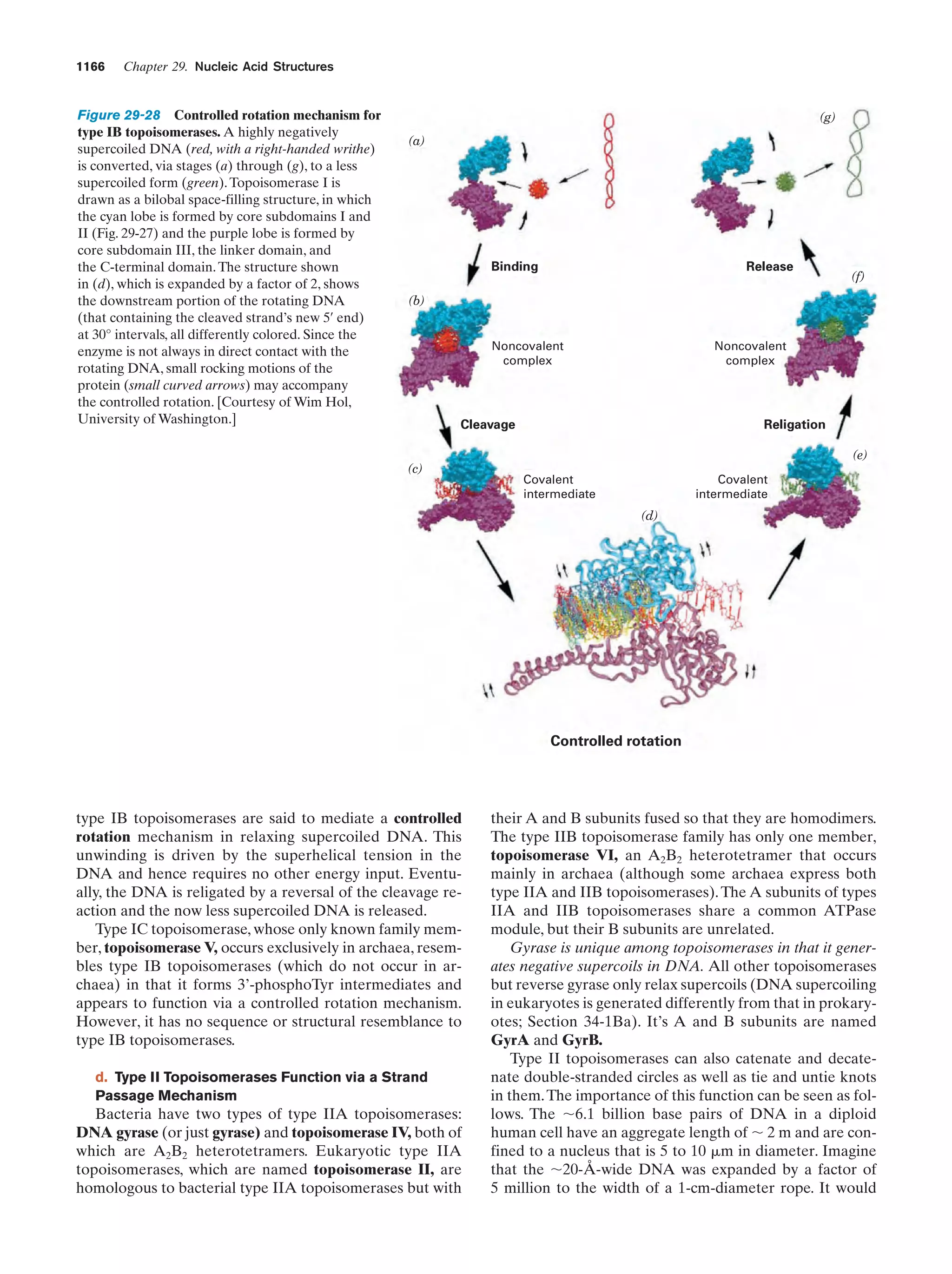 Biochemistry.4th.edition