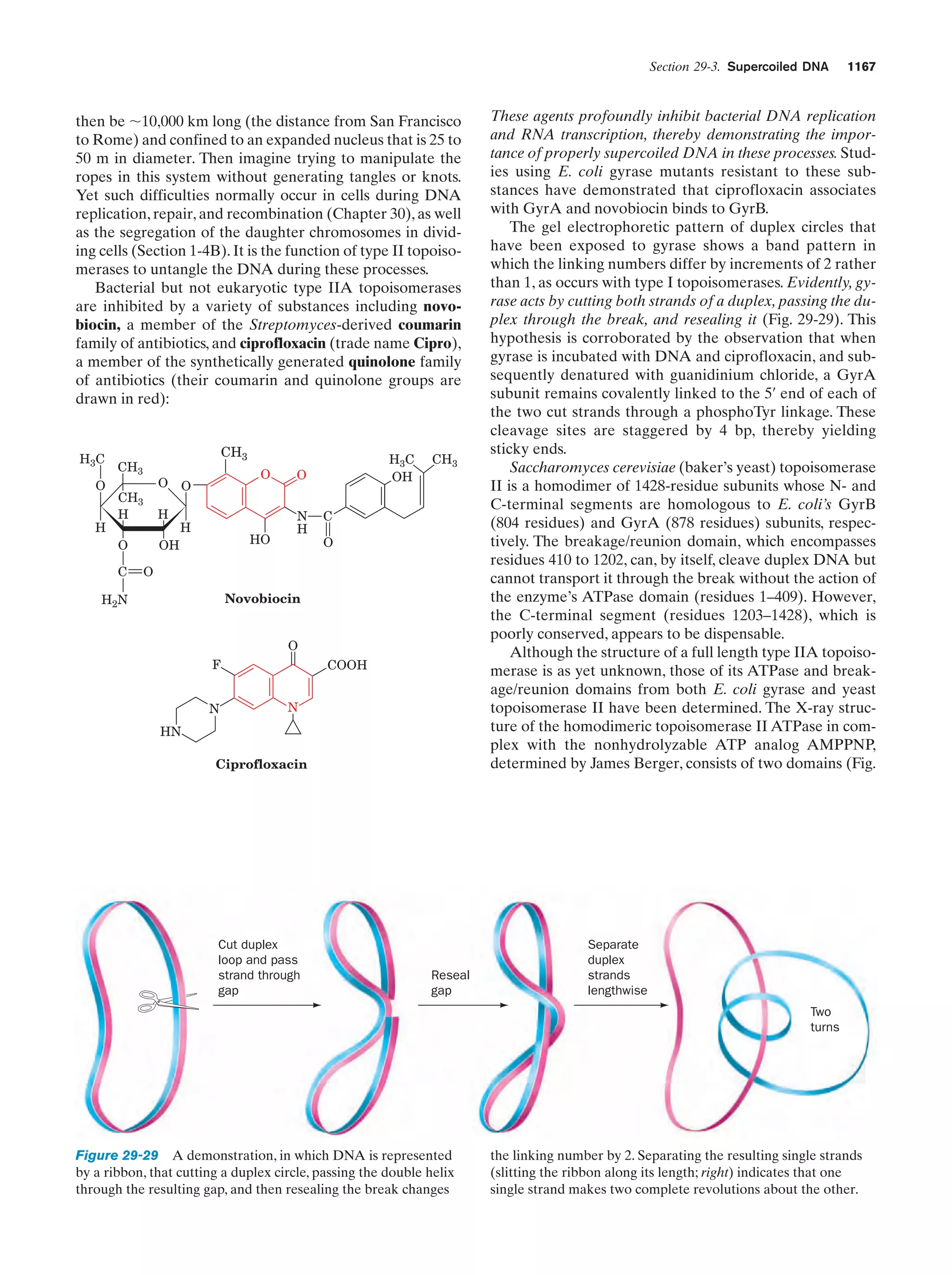 Biochemistry.4th.edition