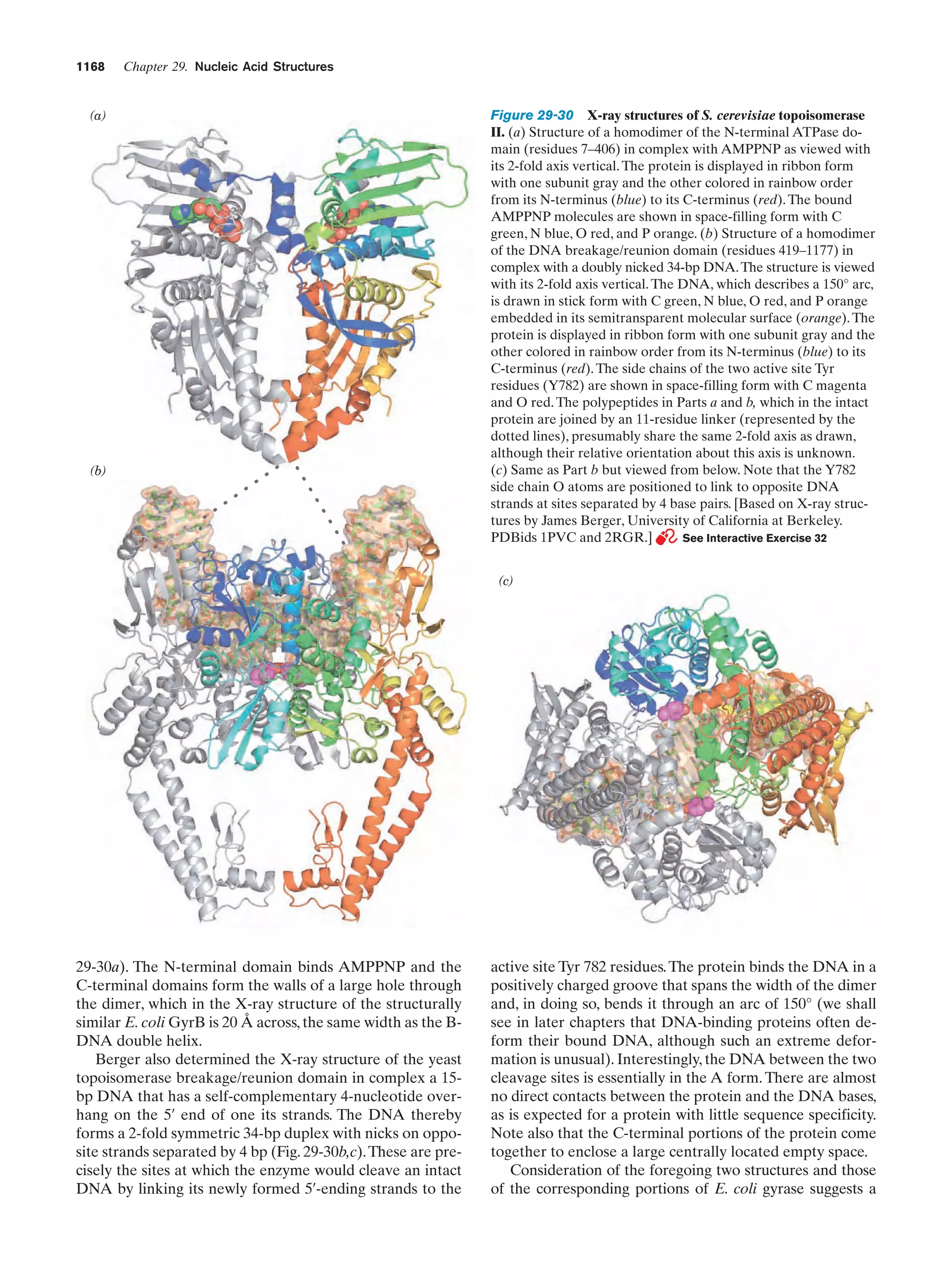 Biochemistry.4th.edition