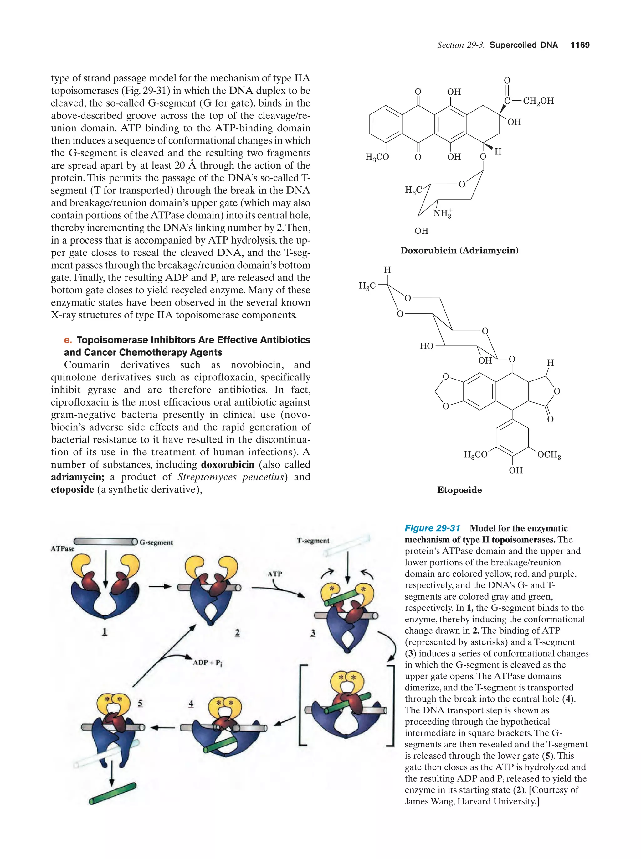 Biochemistry.4th.edition