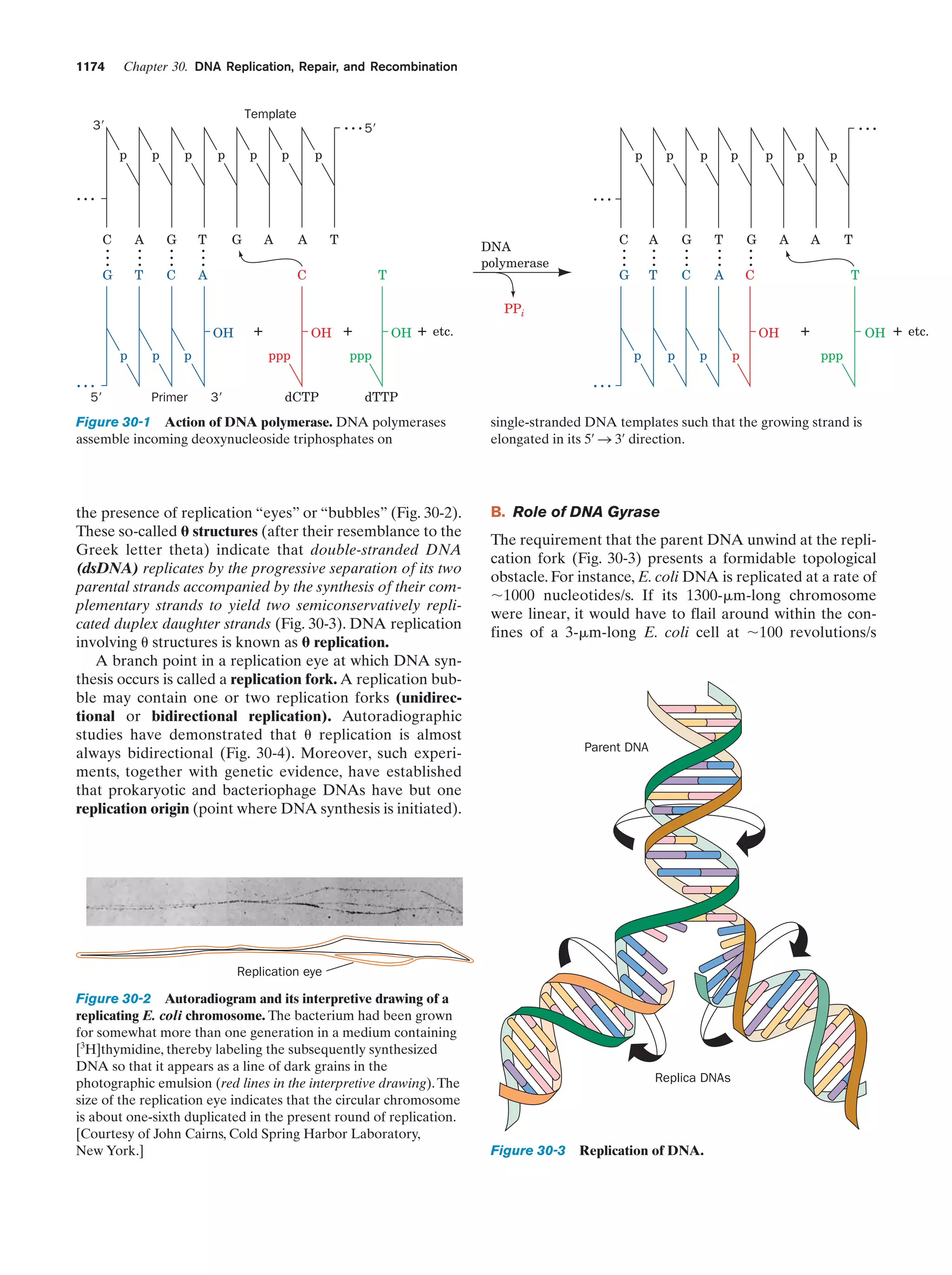 Biochemistry.4th.edition