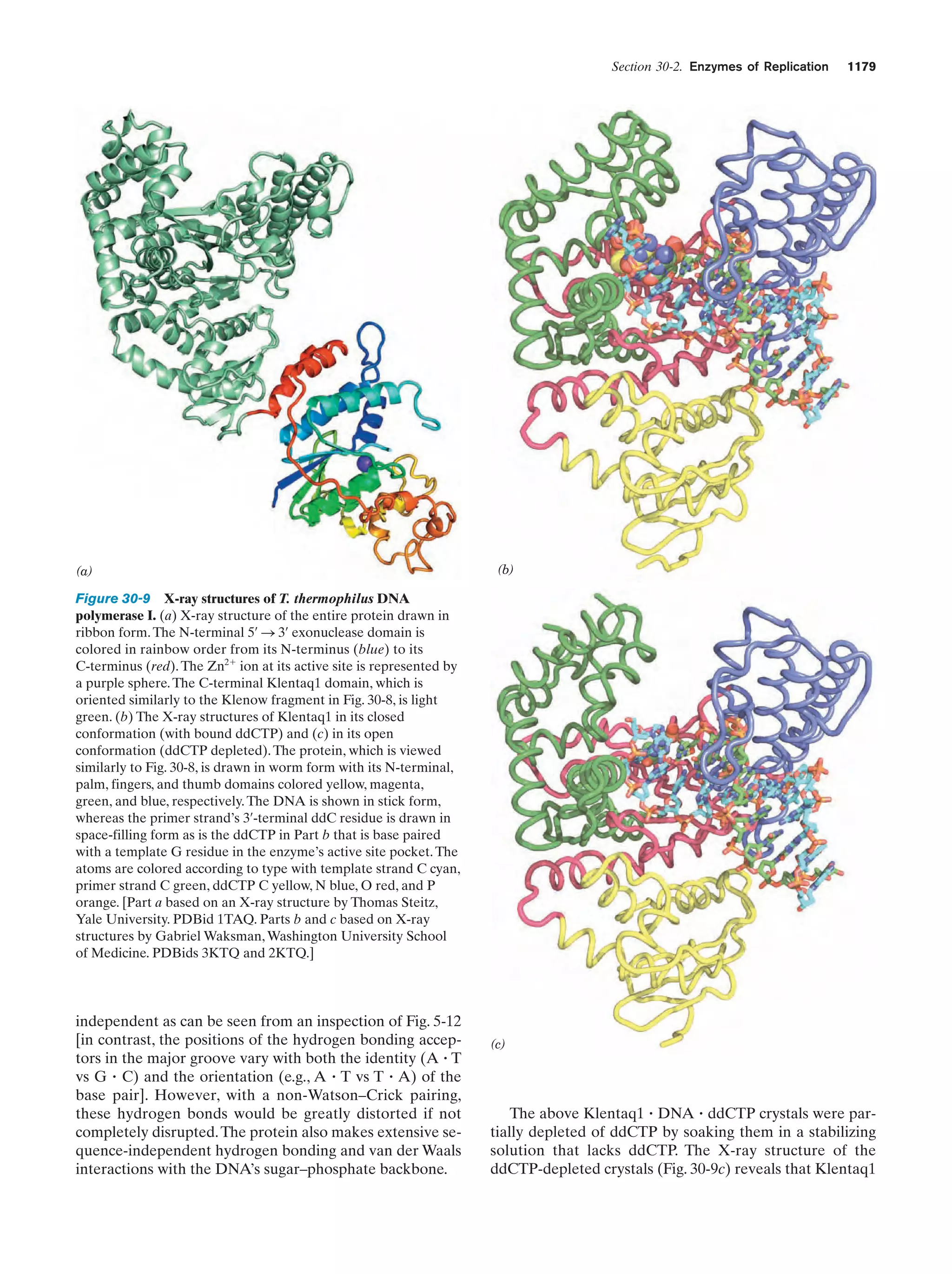Biochemistry.4th.edition