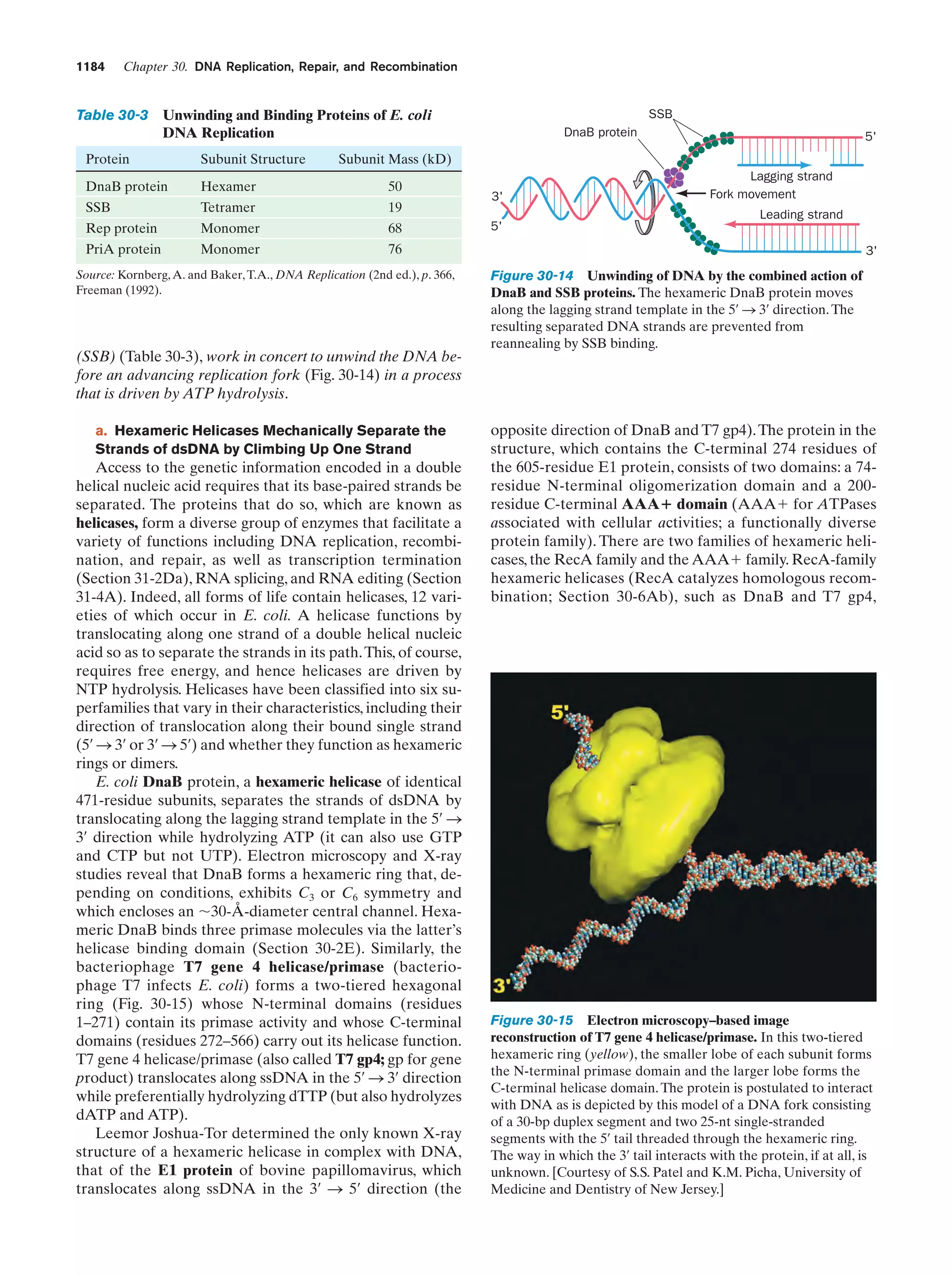 Biochemistry.4th.edition