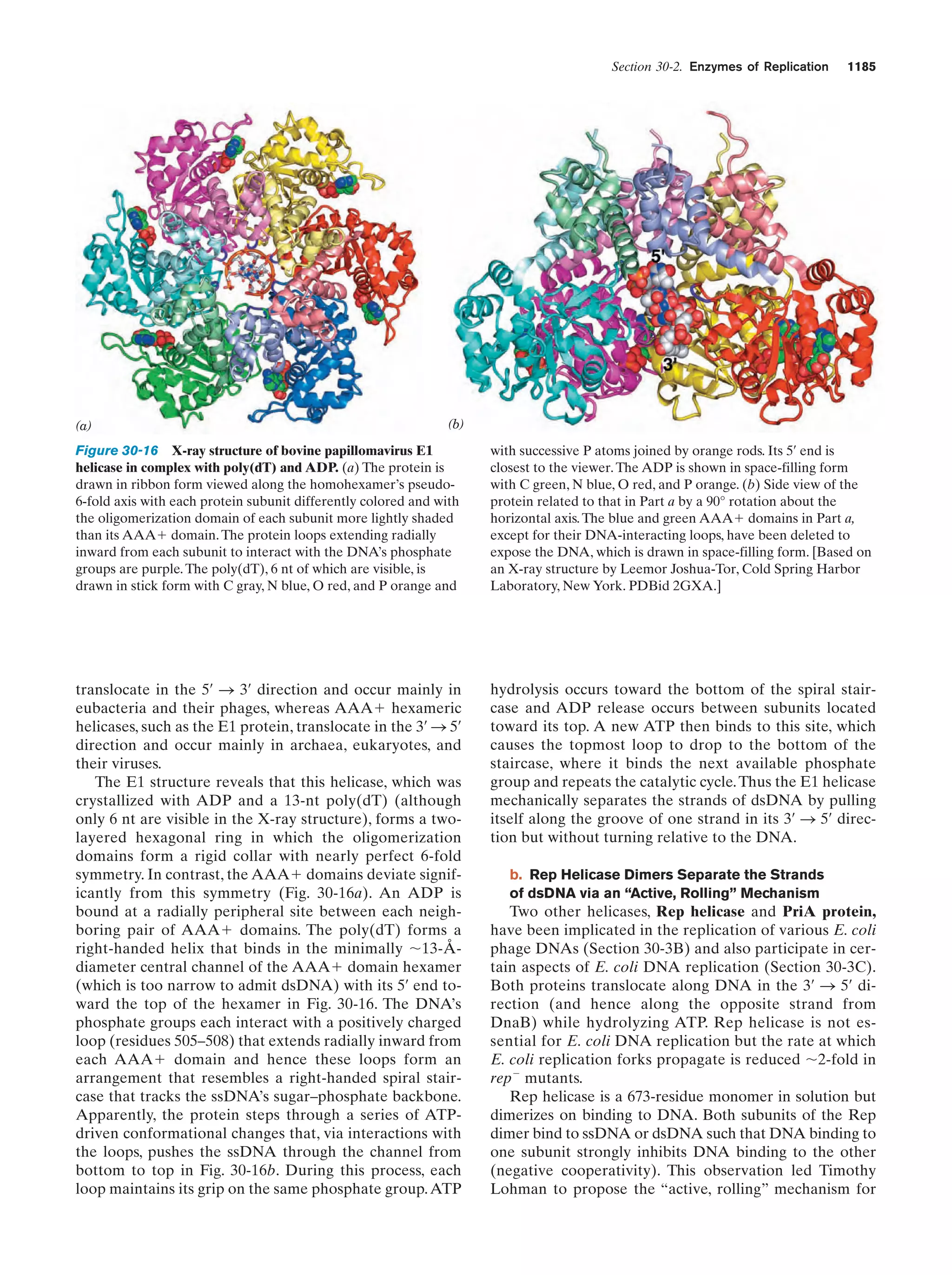 Biochemistry.4th.edition