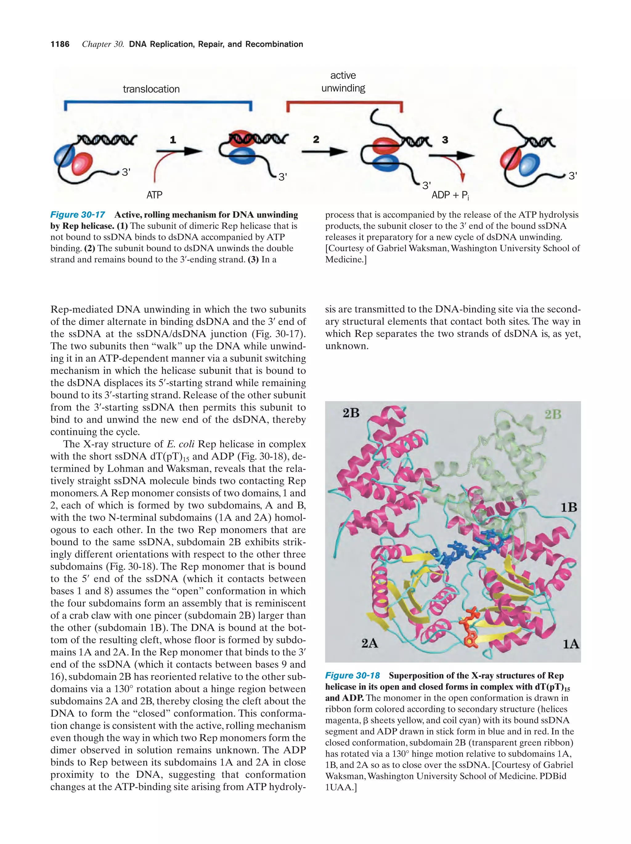Biochemistry.4th.edition