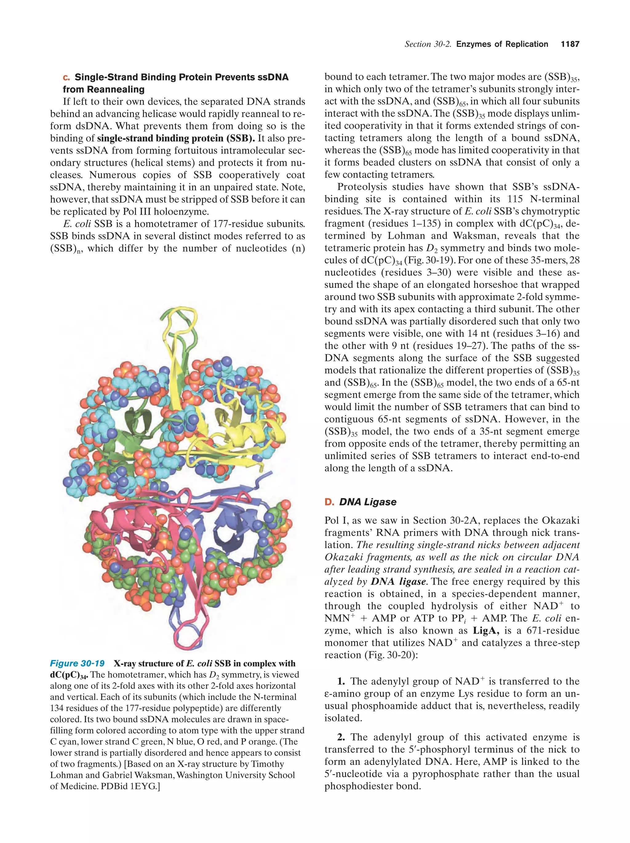 Biochemistry.4th.edition