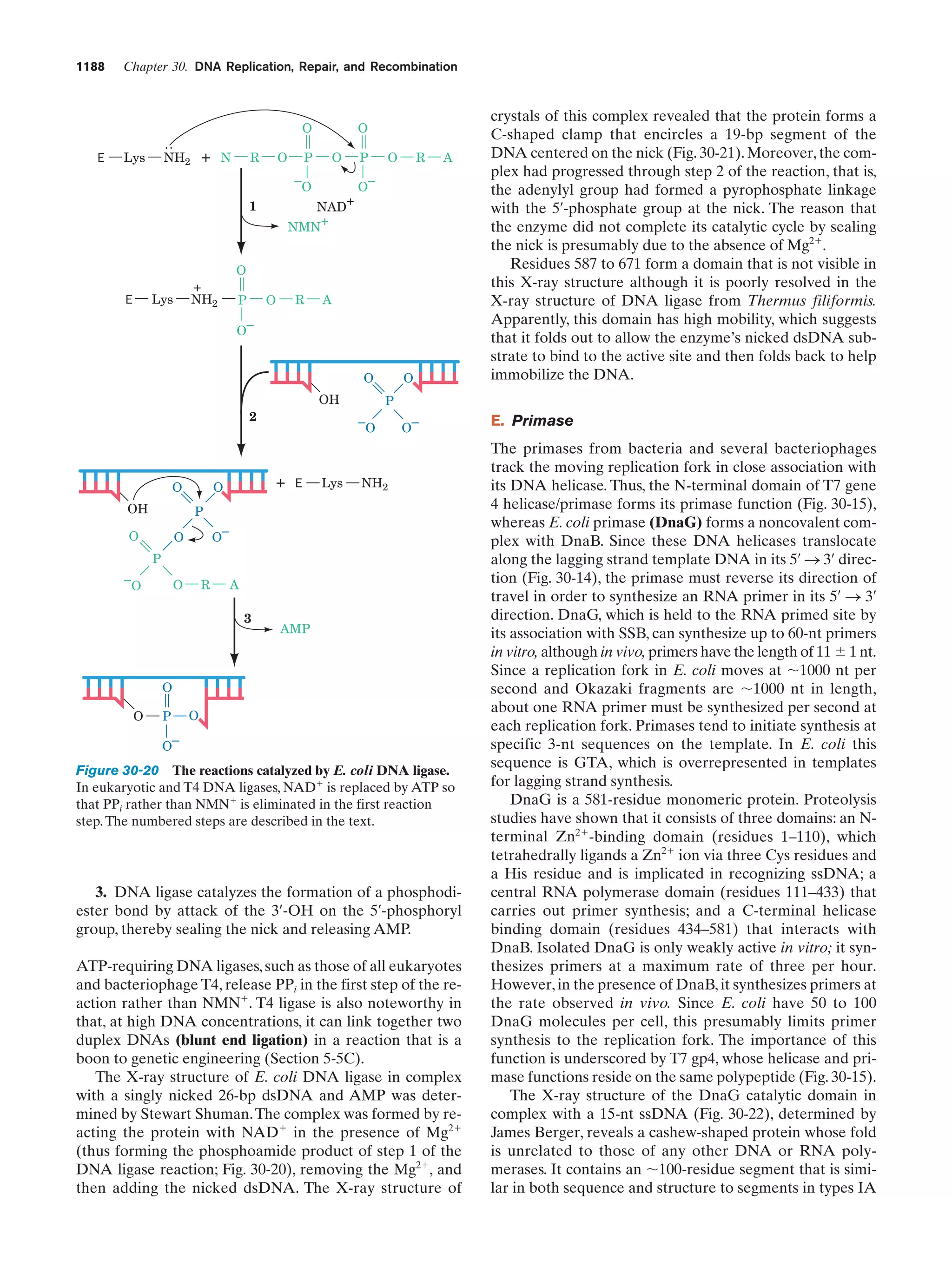 Biochemistry.4th.edition
