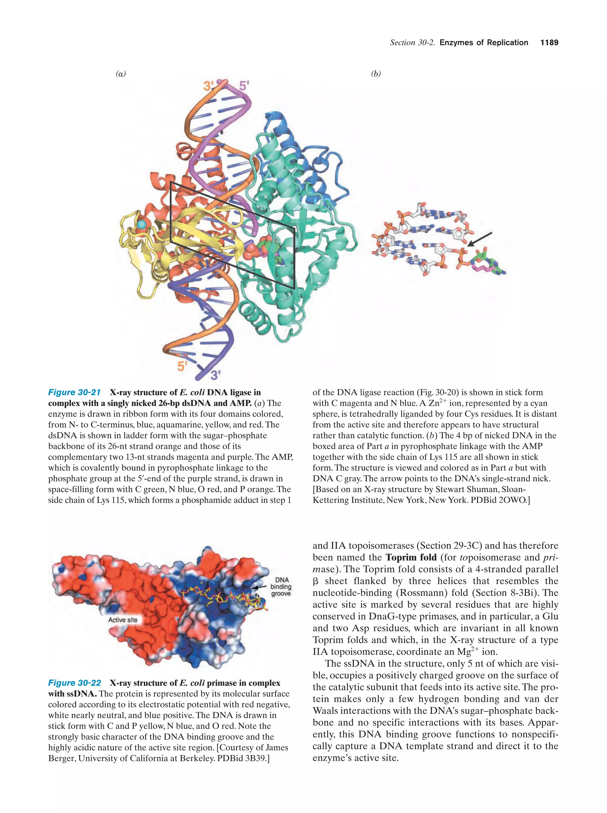 Biochemistry.4th.edition