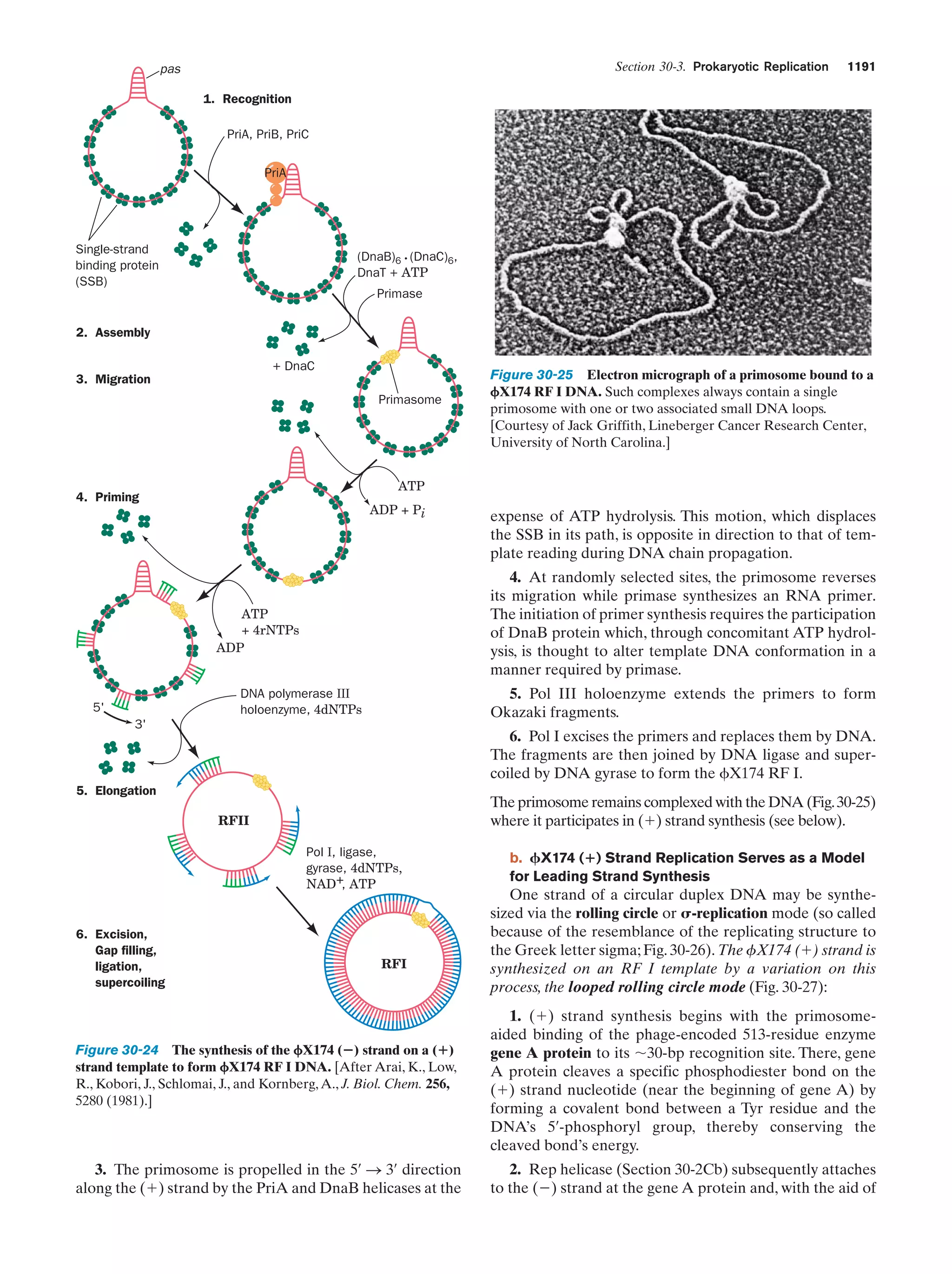 Biochemistry.4th.edition