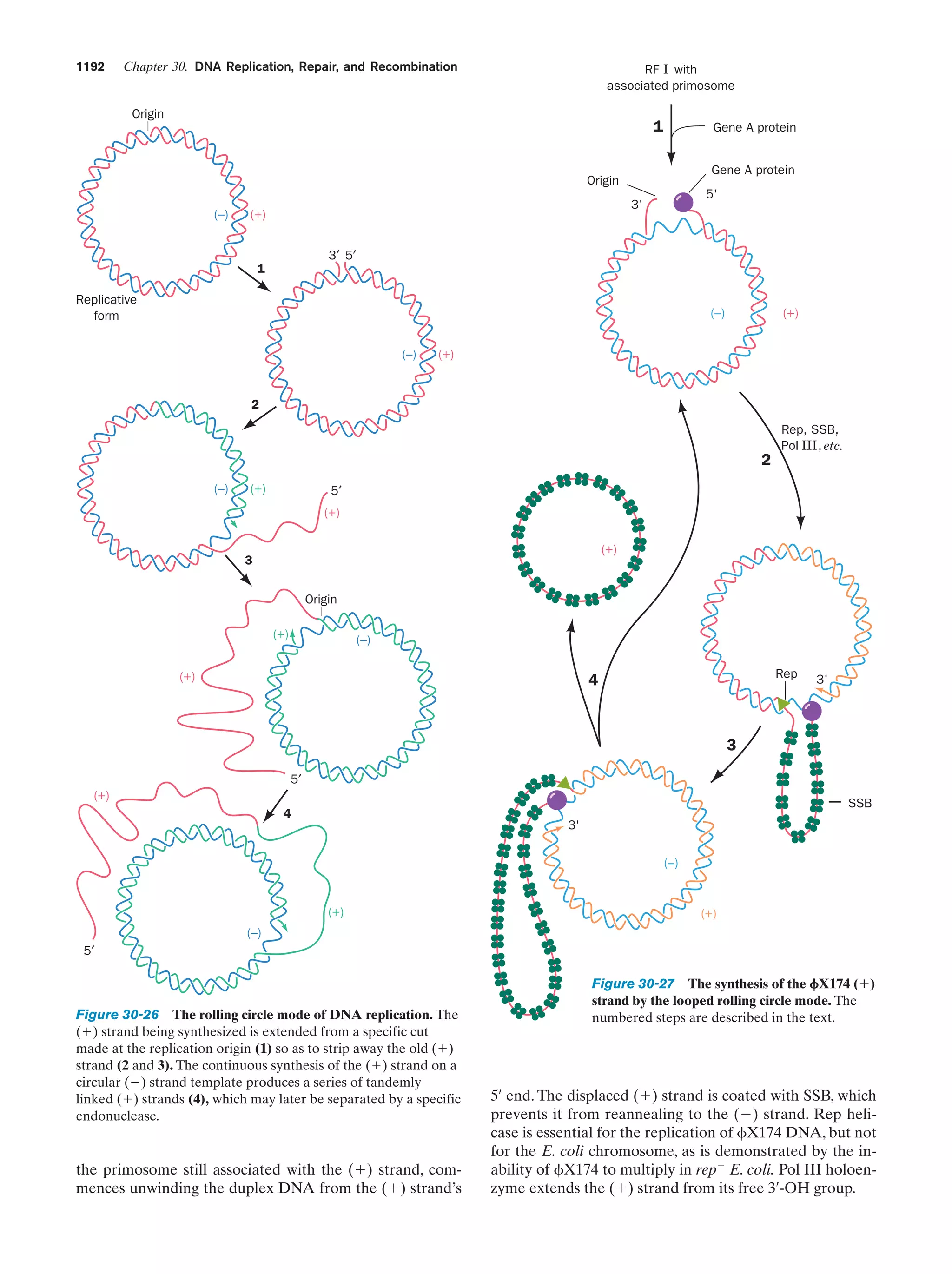 Biochemistry.4th.edition
