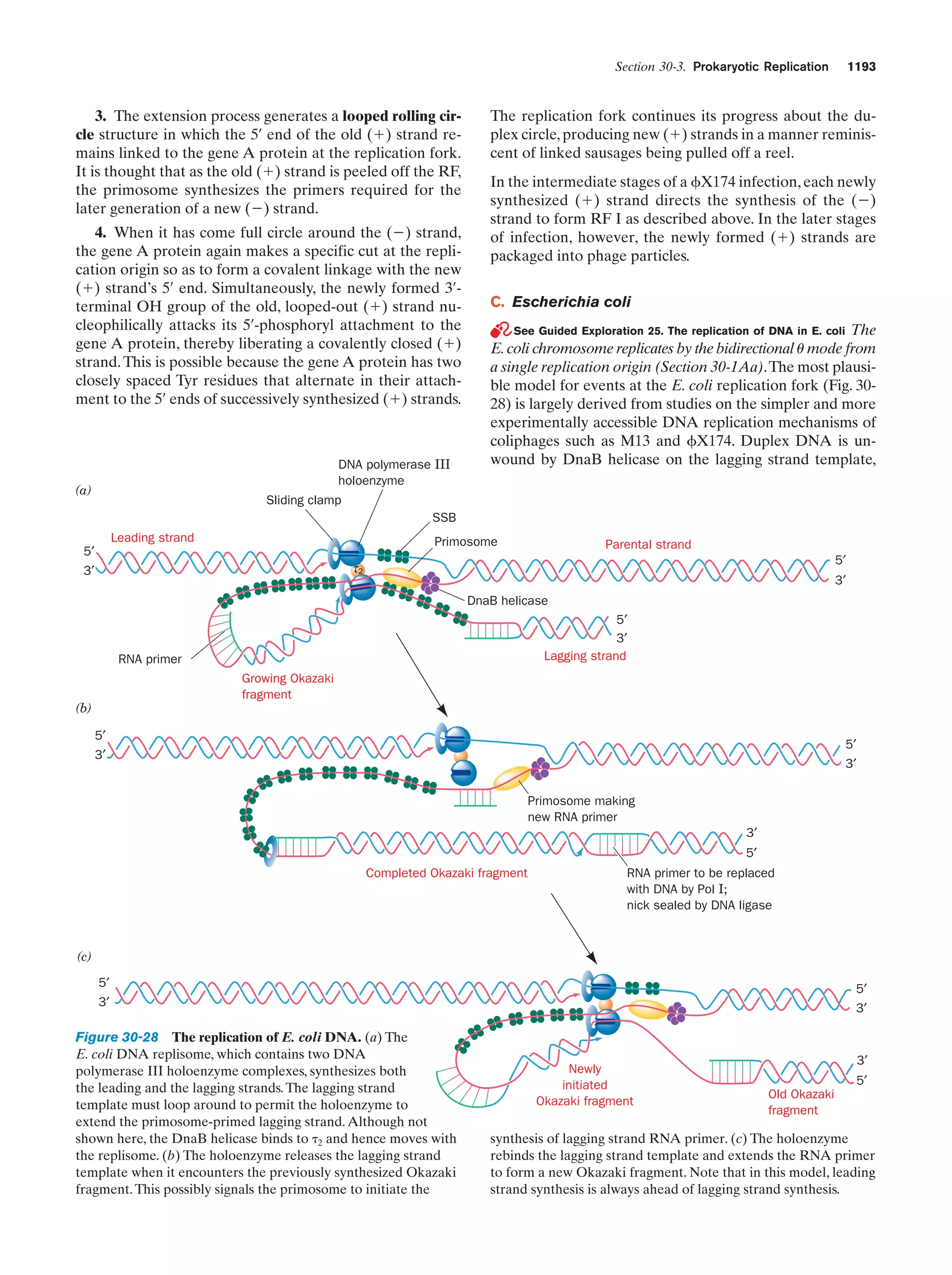 Biochemistry.4th.edition