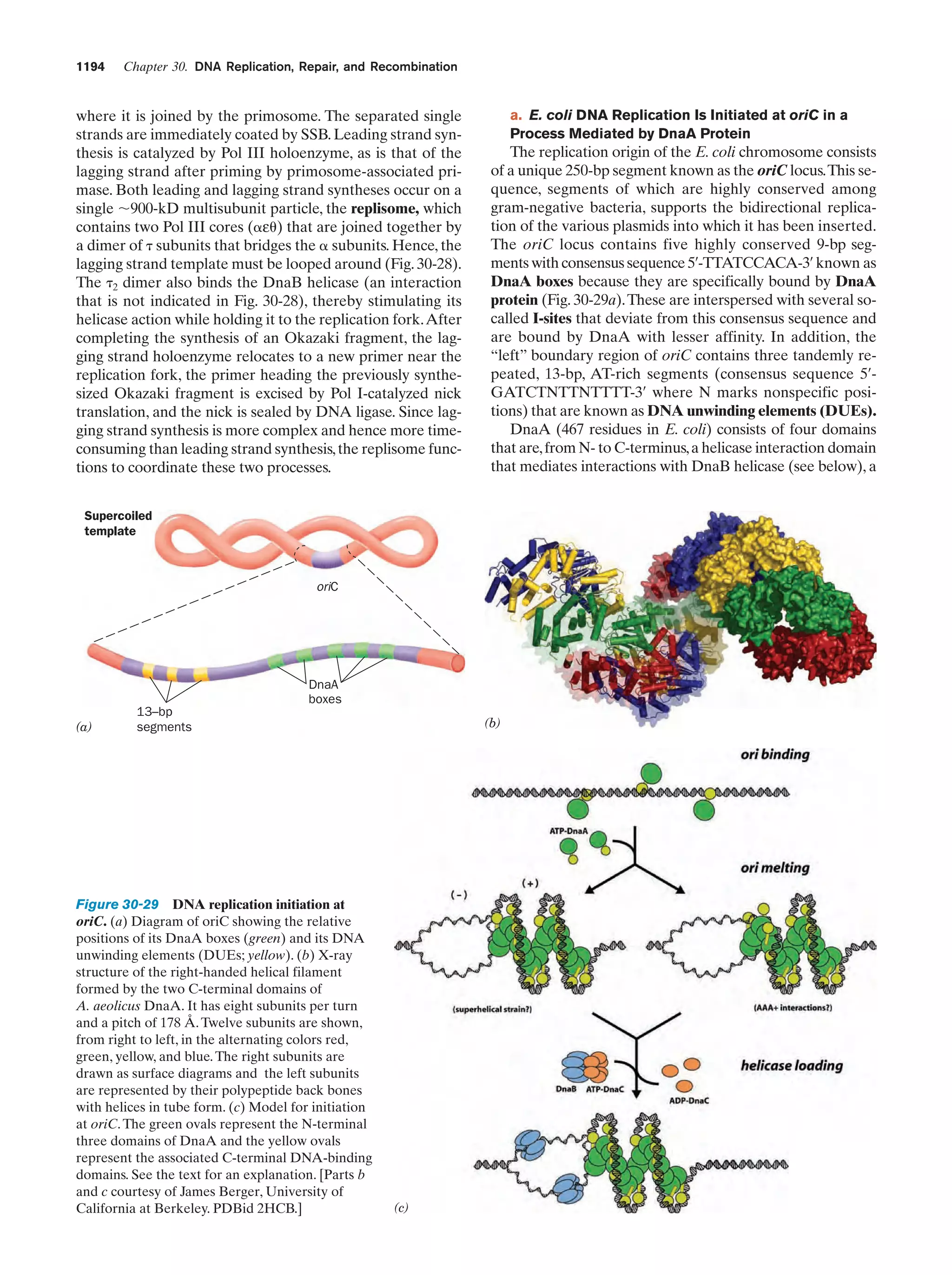 Biochemistry.4th.edition