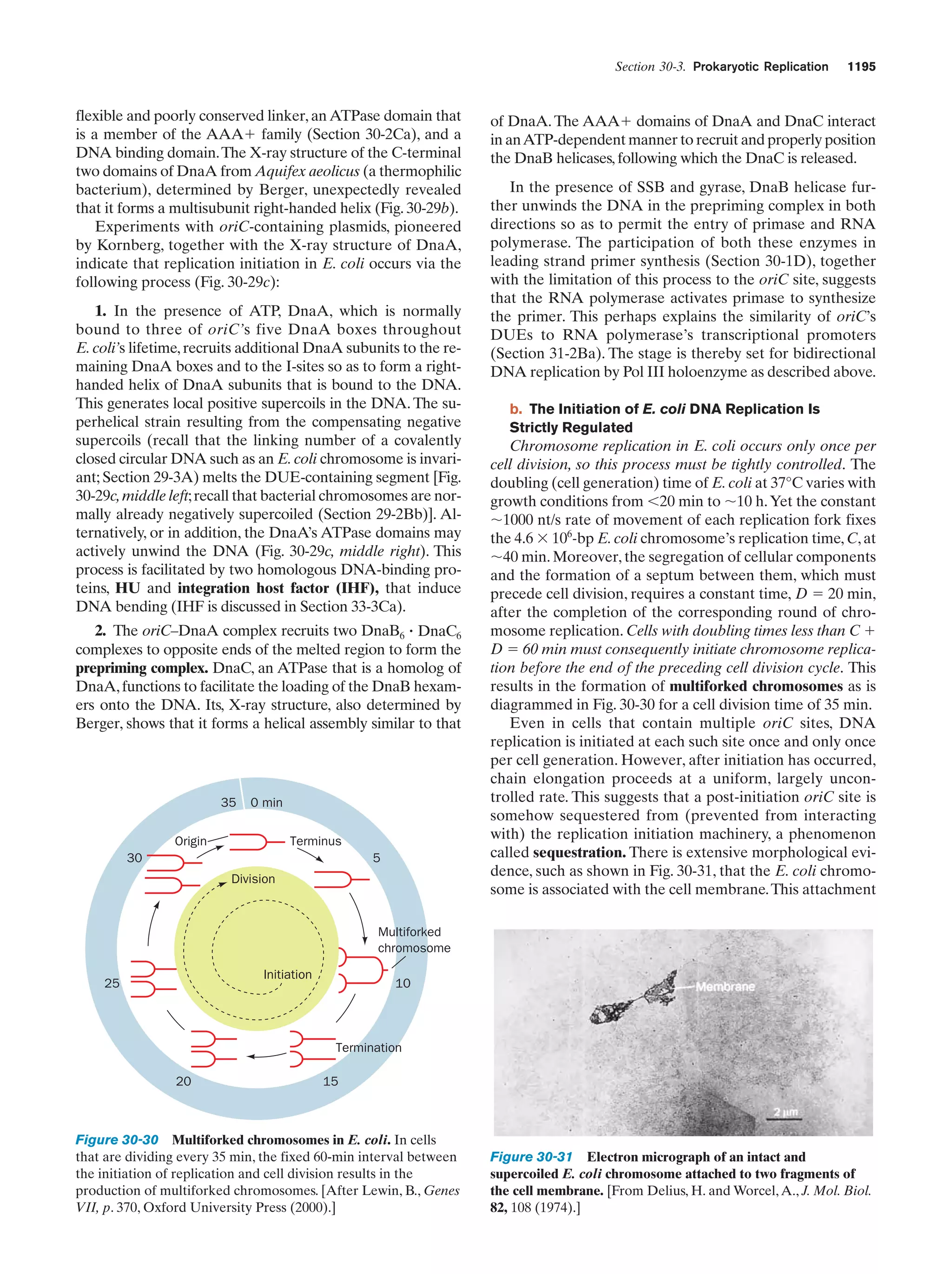 Biochemistry.4th.edition