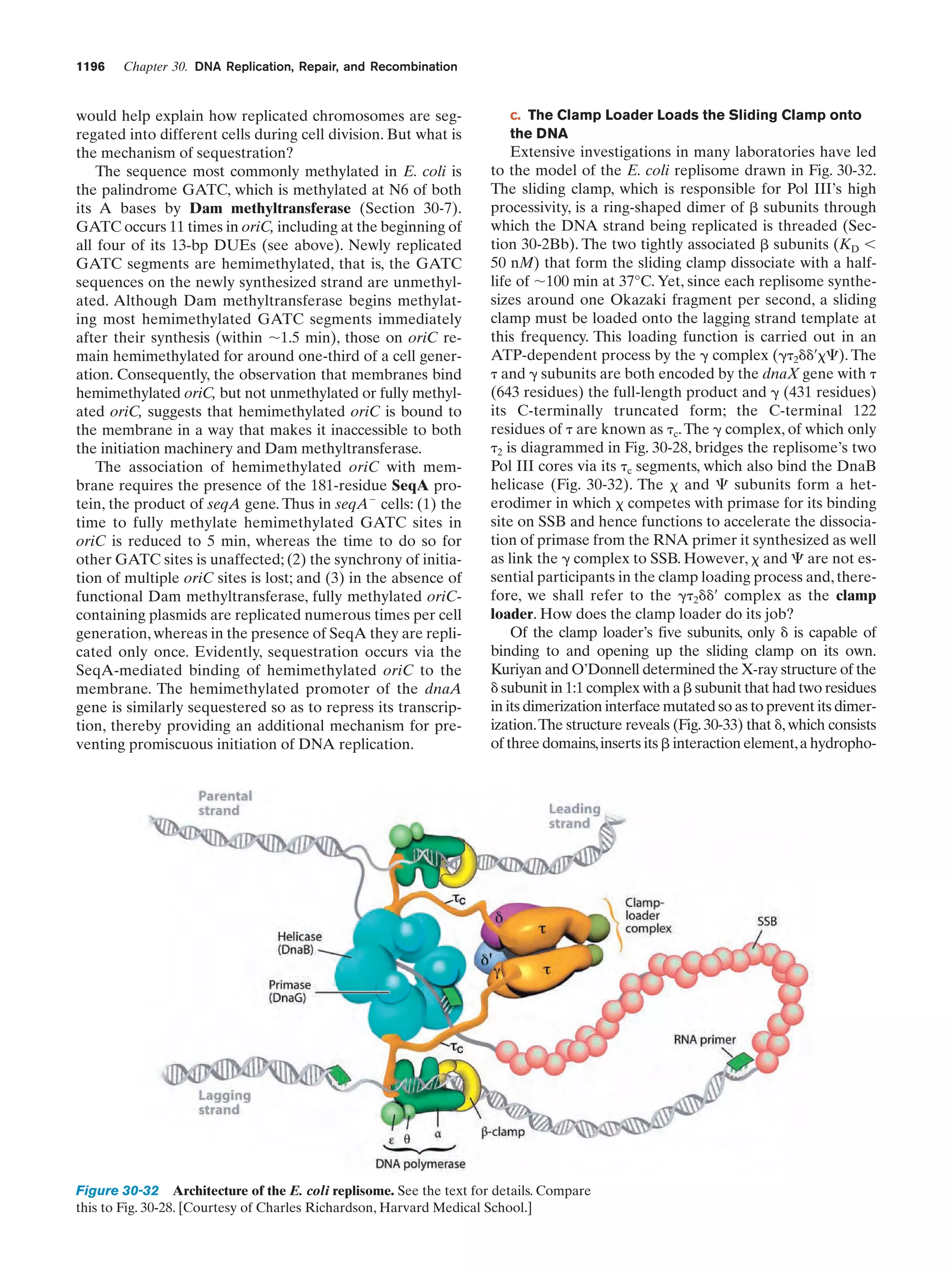 Biochemistry.4th.edition