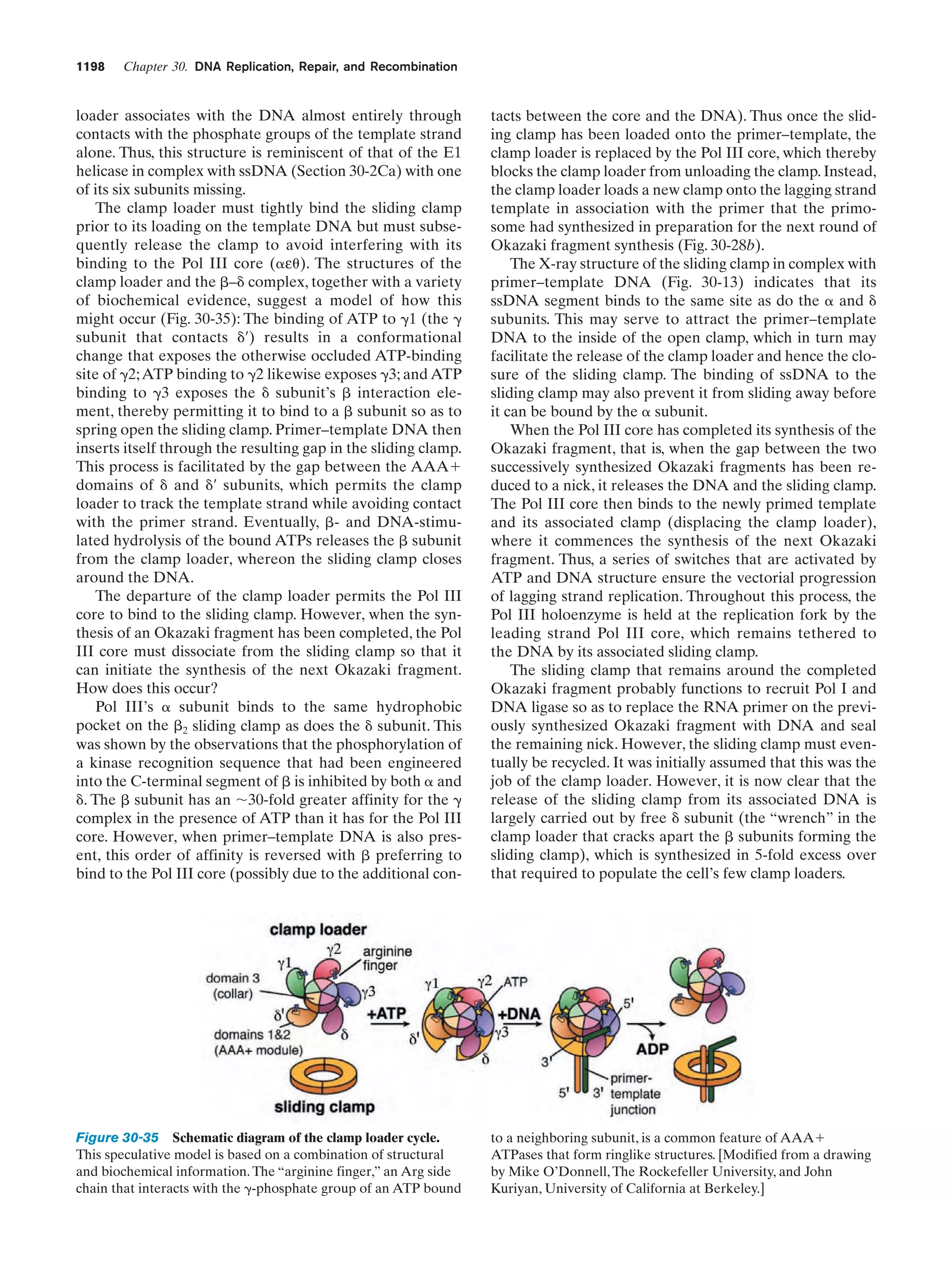 Biochemistry.4th.edition