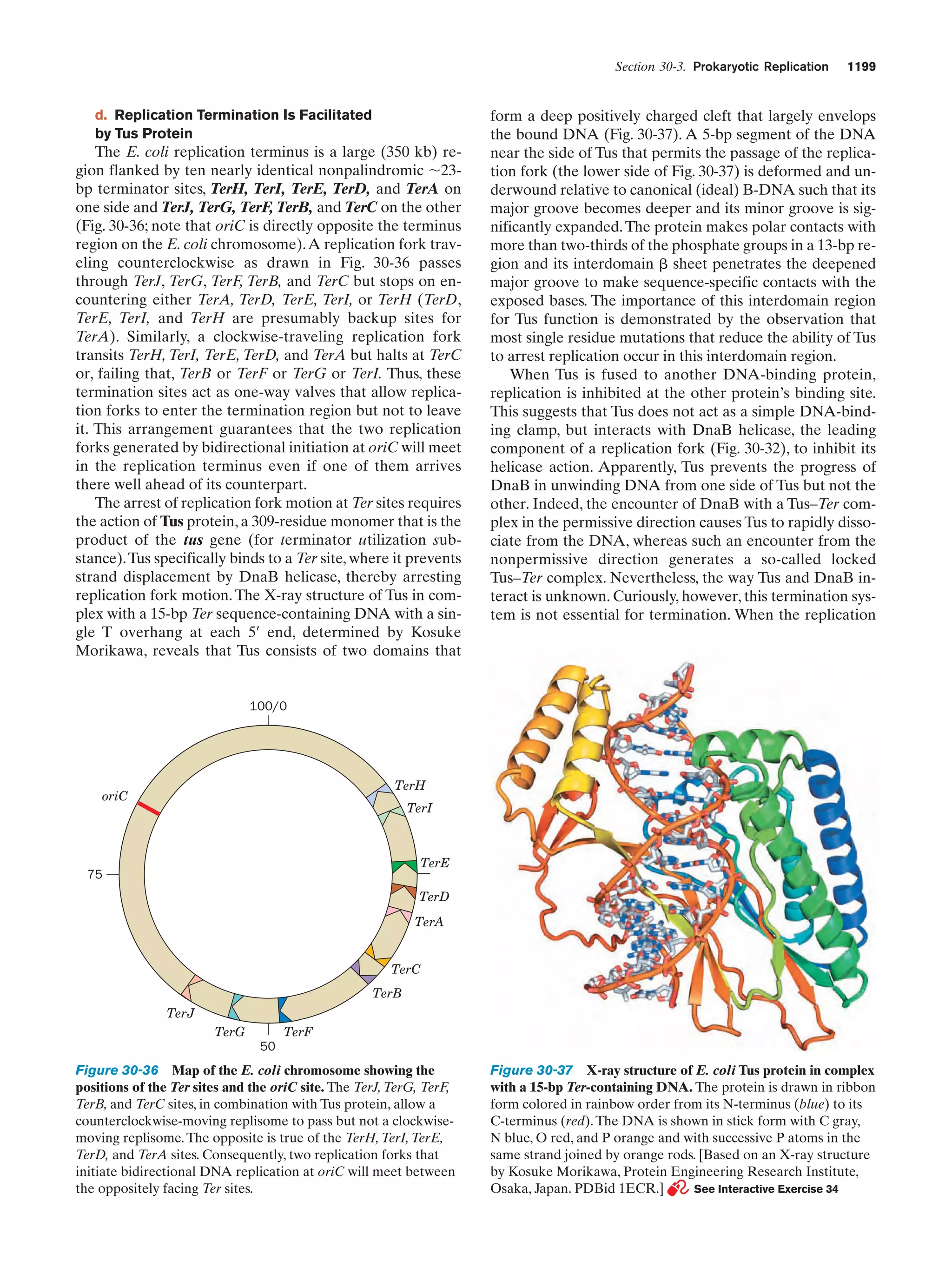 Biochemistry.4th.edition
