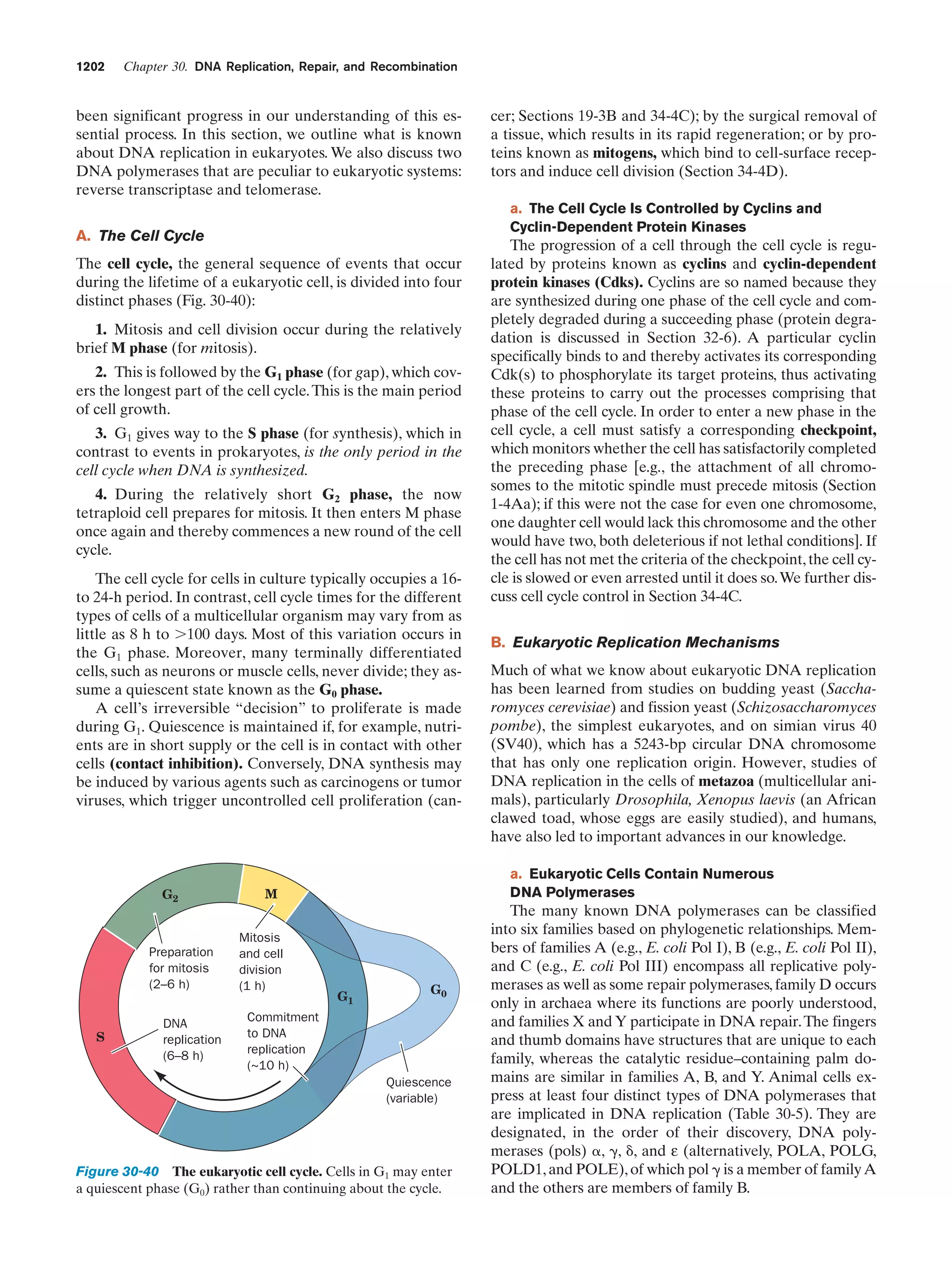 Biochemistry.4th.edition
