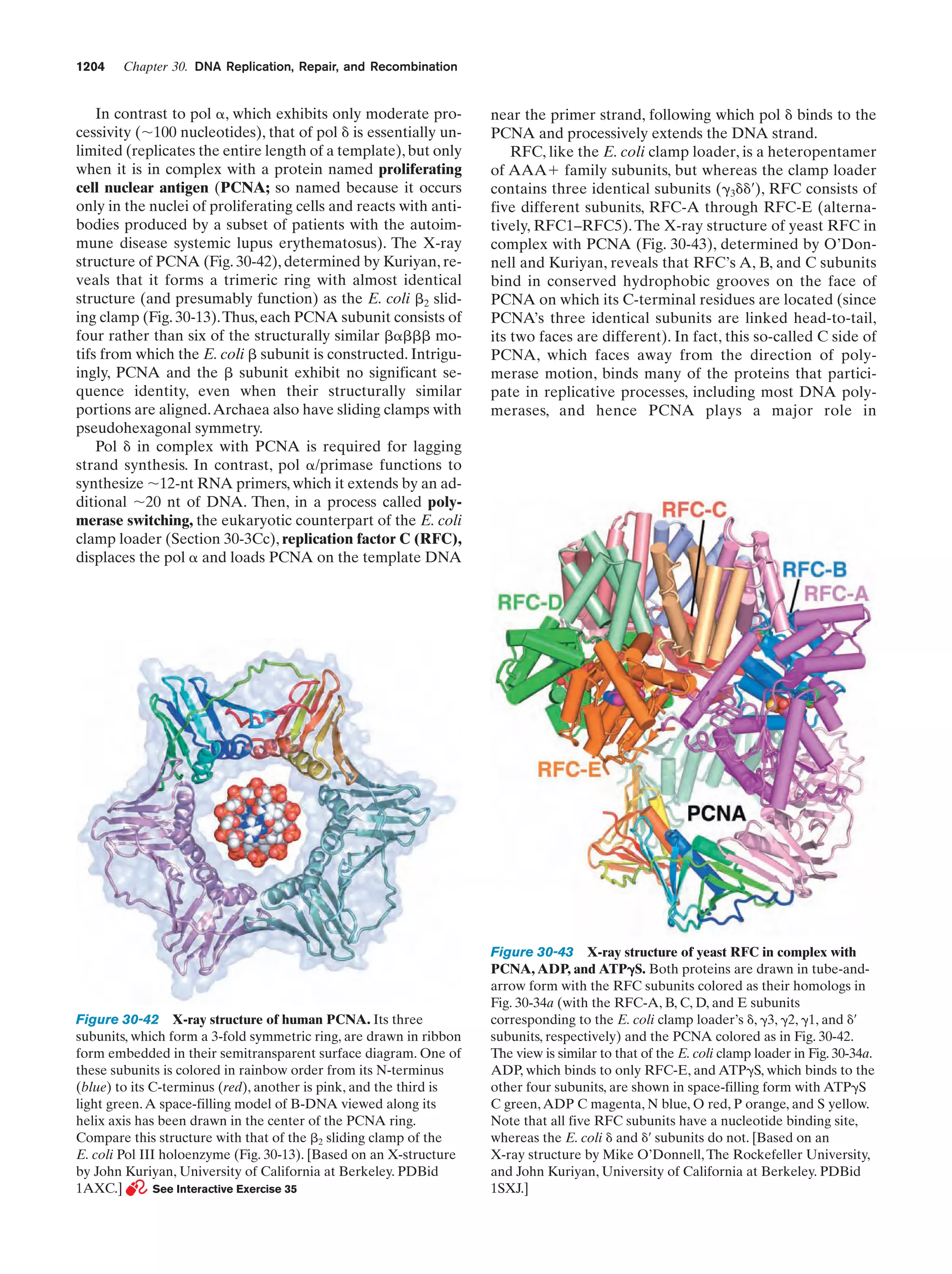 Biochemistry.4th.edition