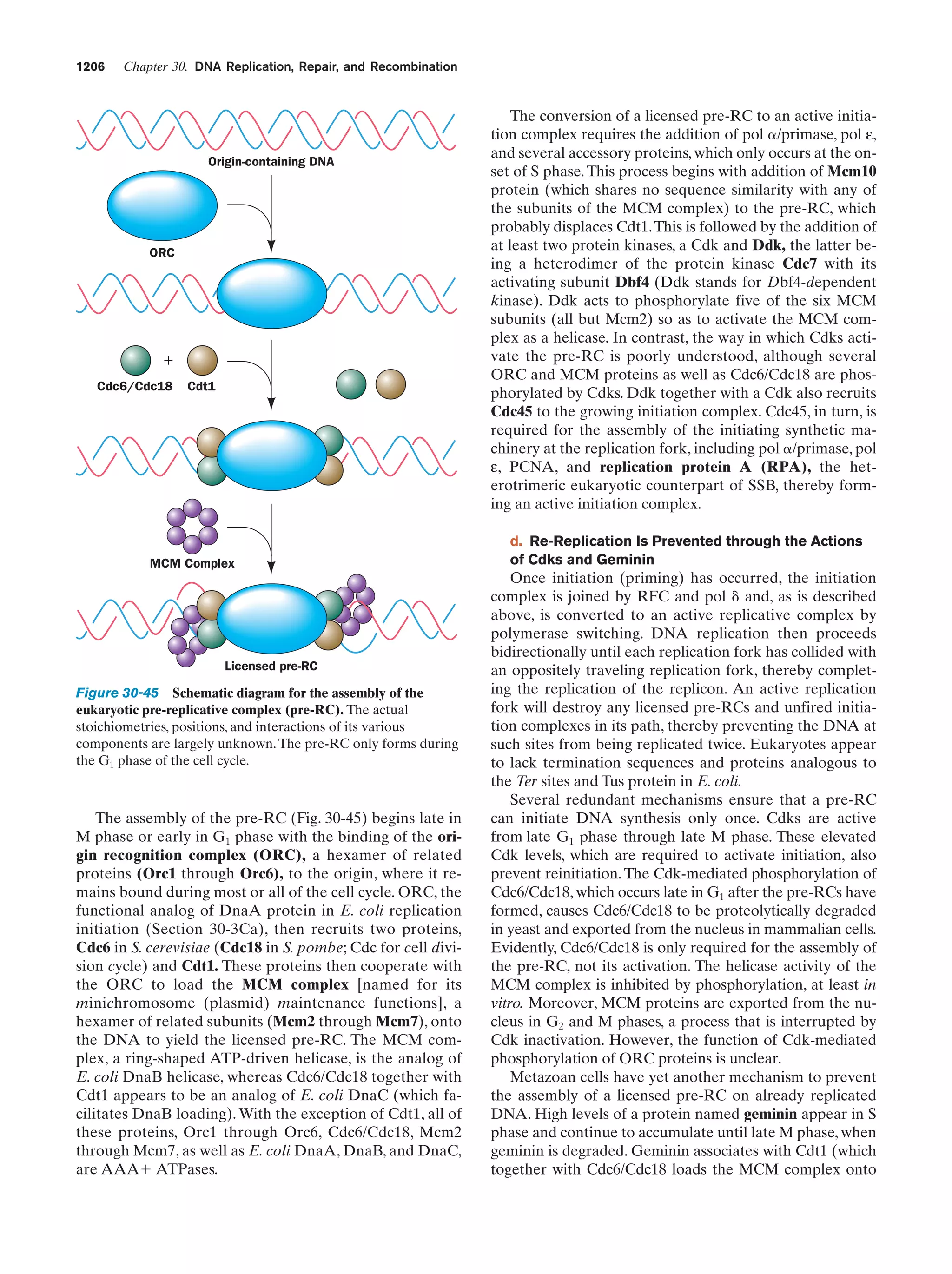 Biochemistry.4th.edition