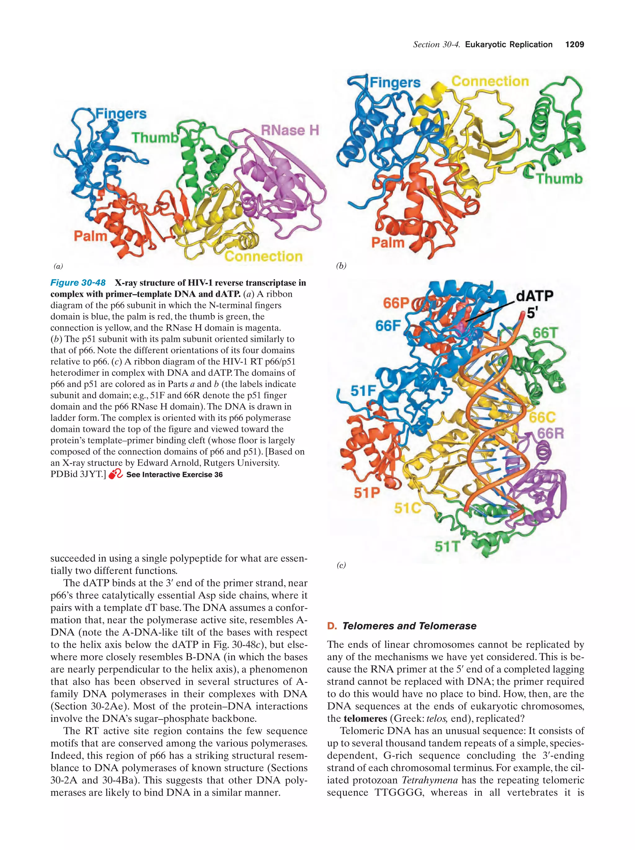 Biochemistry.4th.edition
