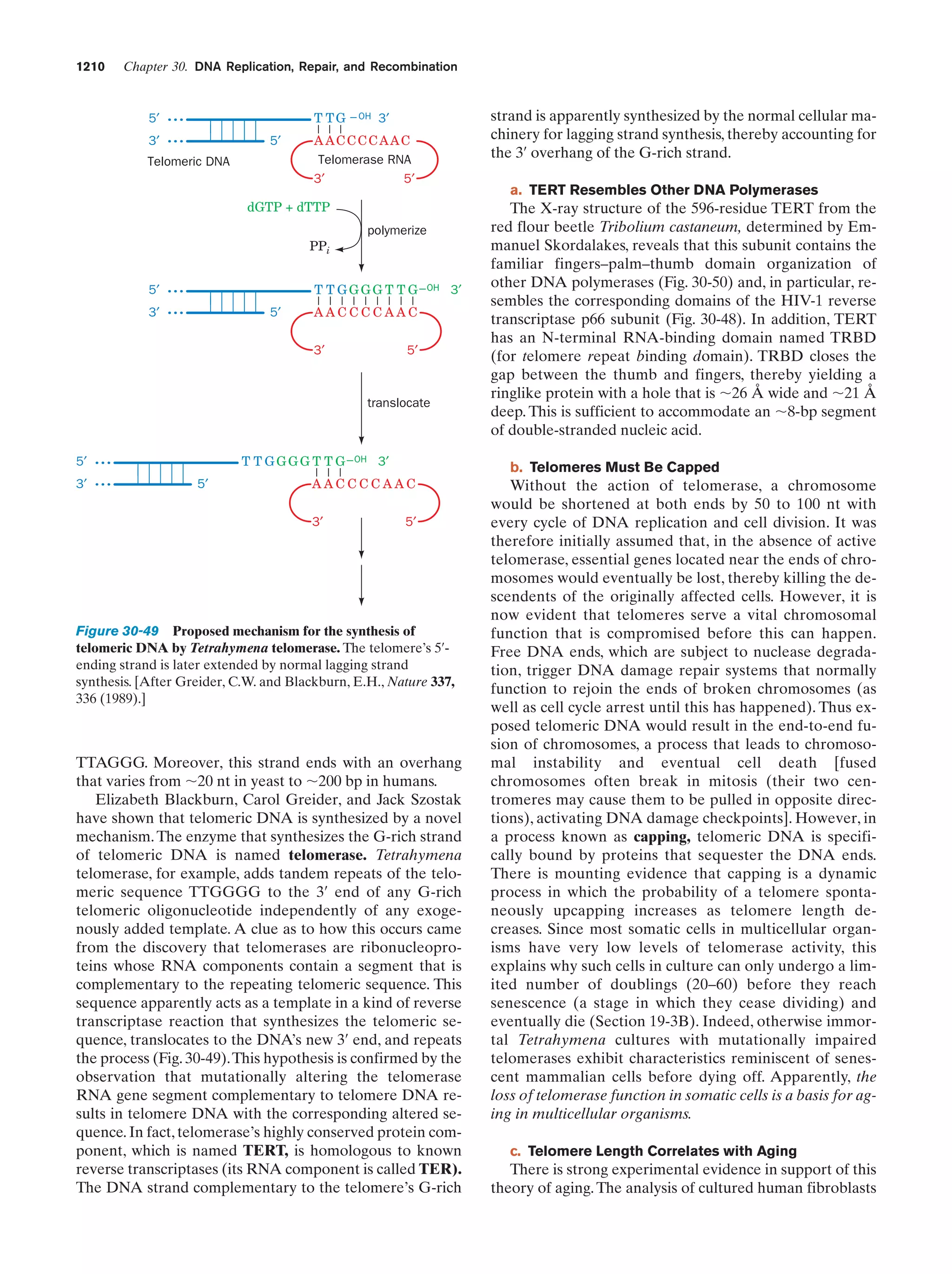 Biochemistry.4th.edition