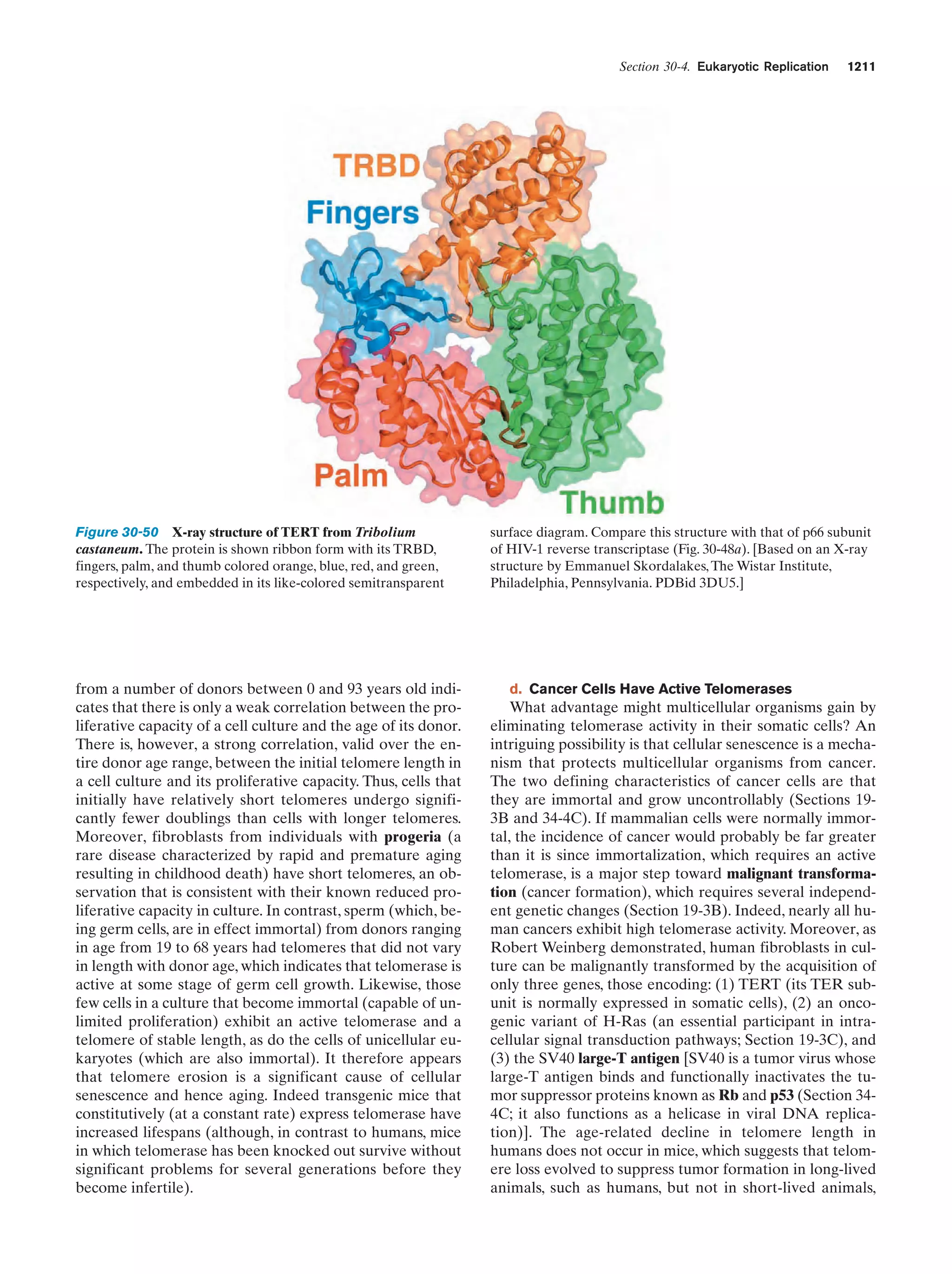 Biochemistry.4th.edition