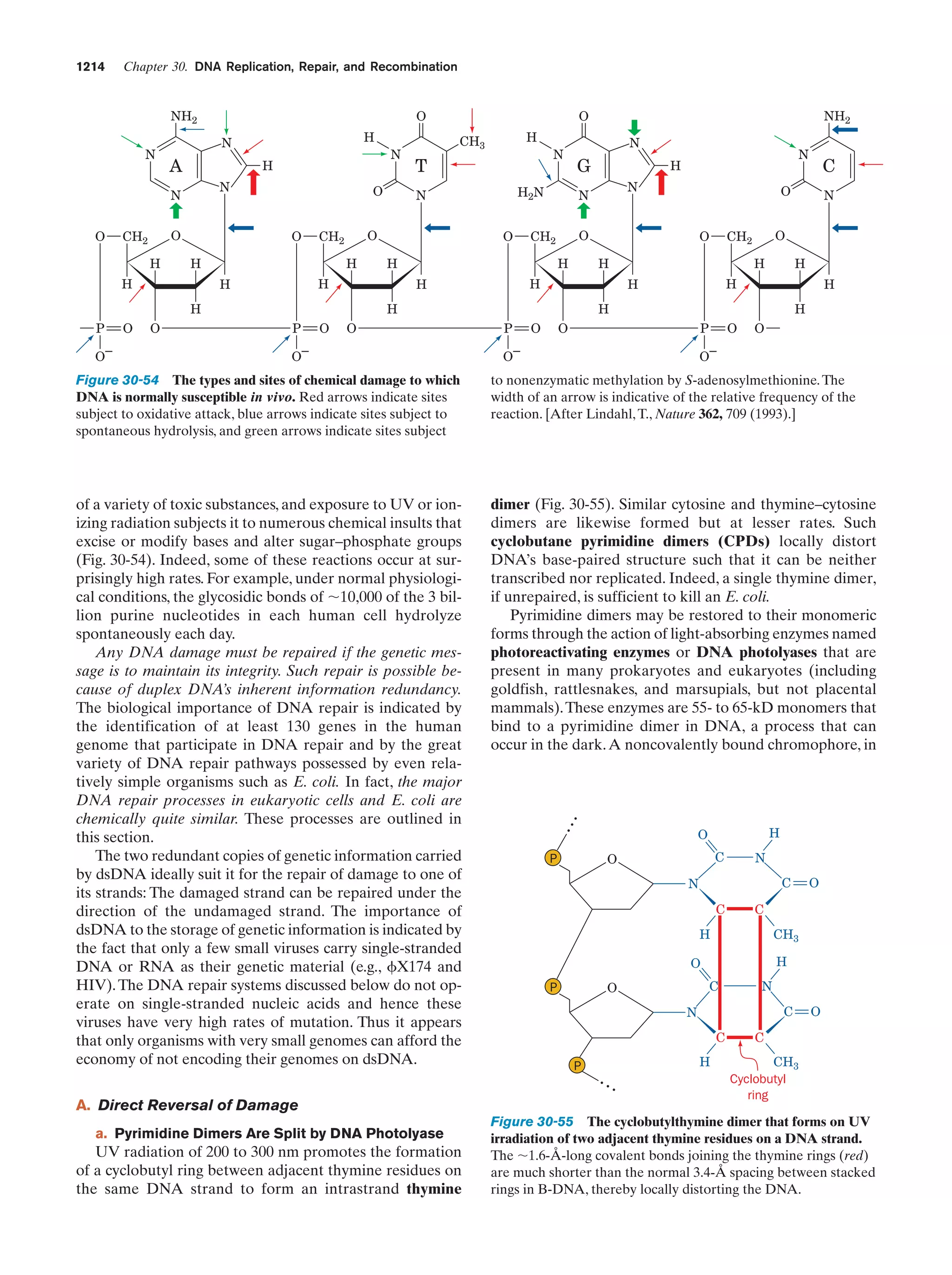 Biochemistry.4th.edition