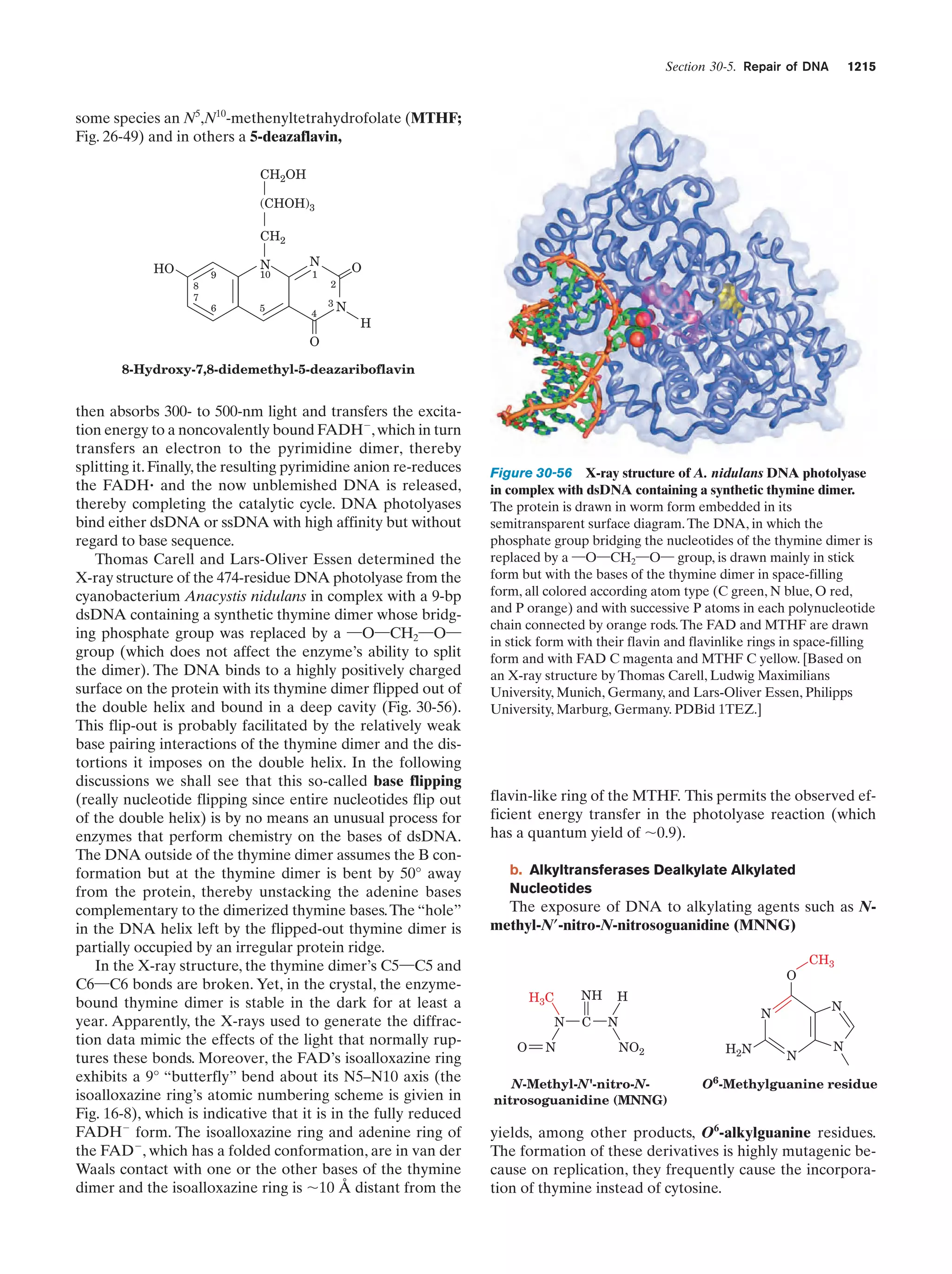 Biochemistry.4th.edition