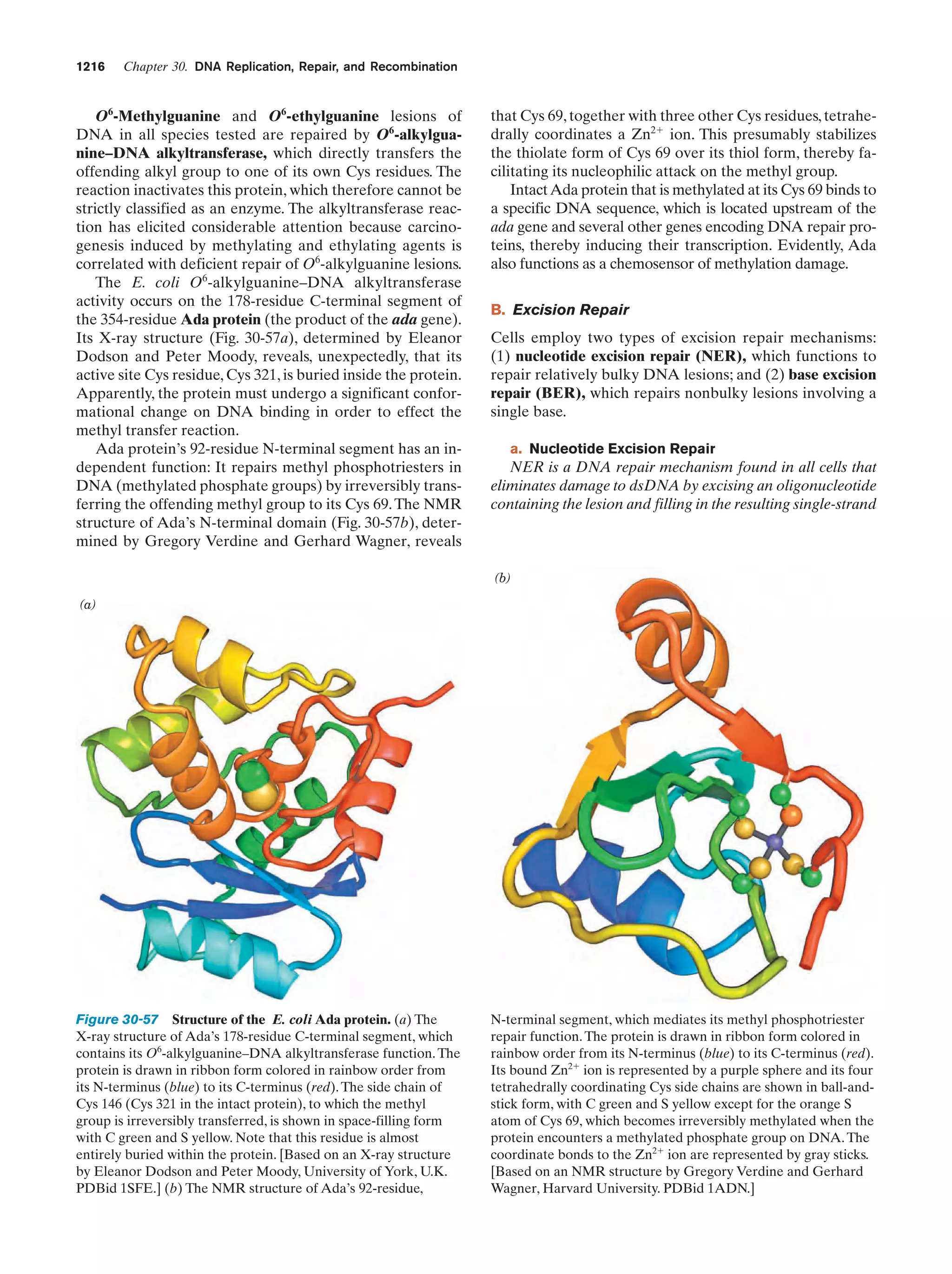 Biochemistry.4th.edition