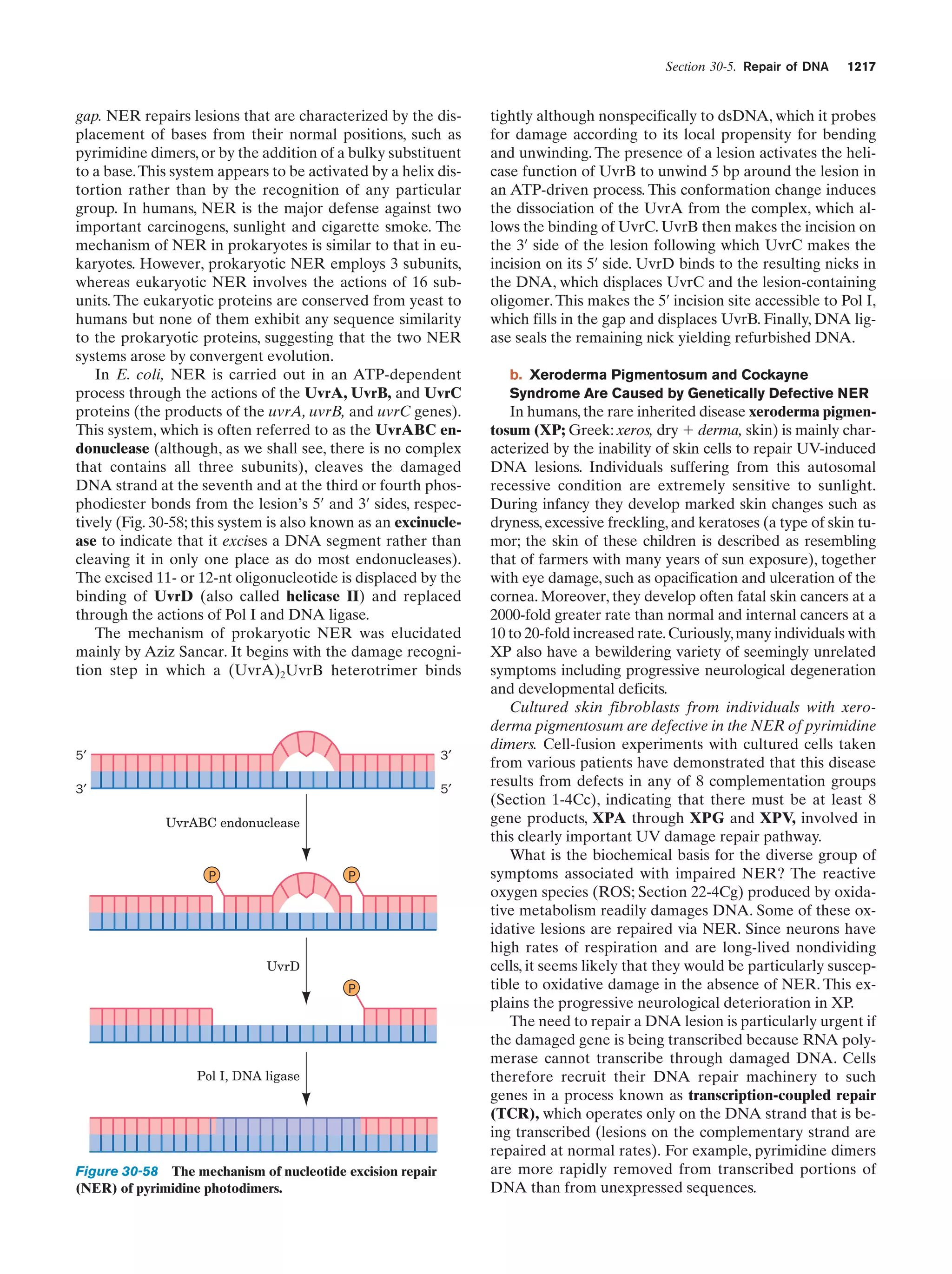 Biochemistry.4th.edition