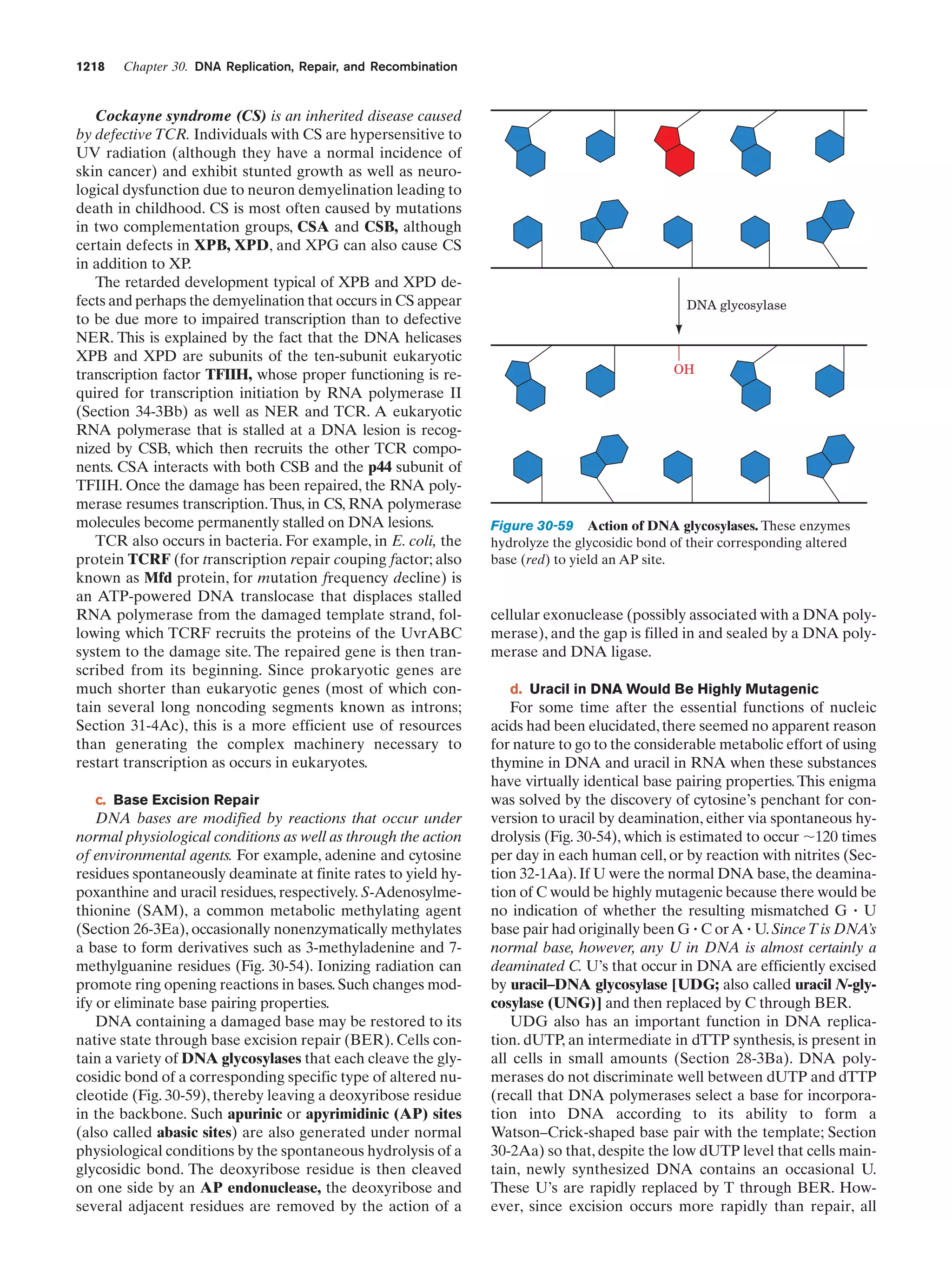 Biochemistry.4th.edition