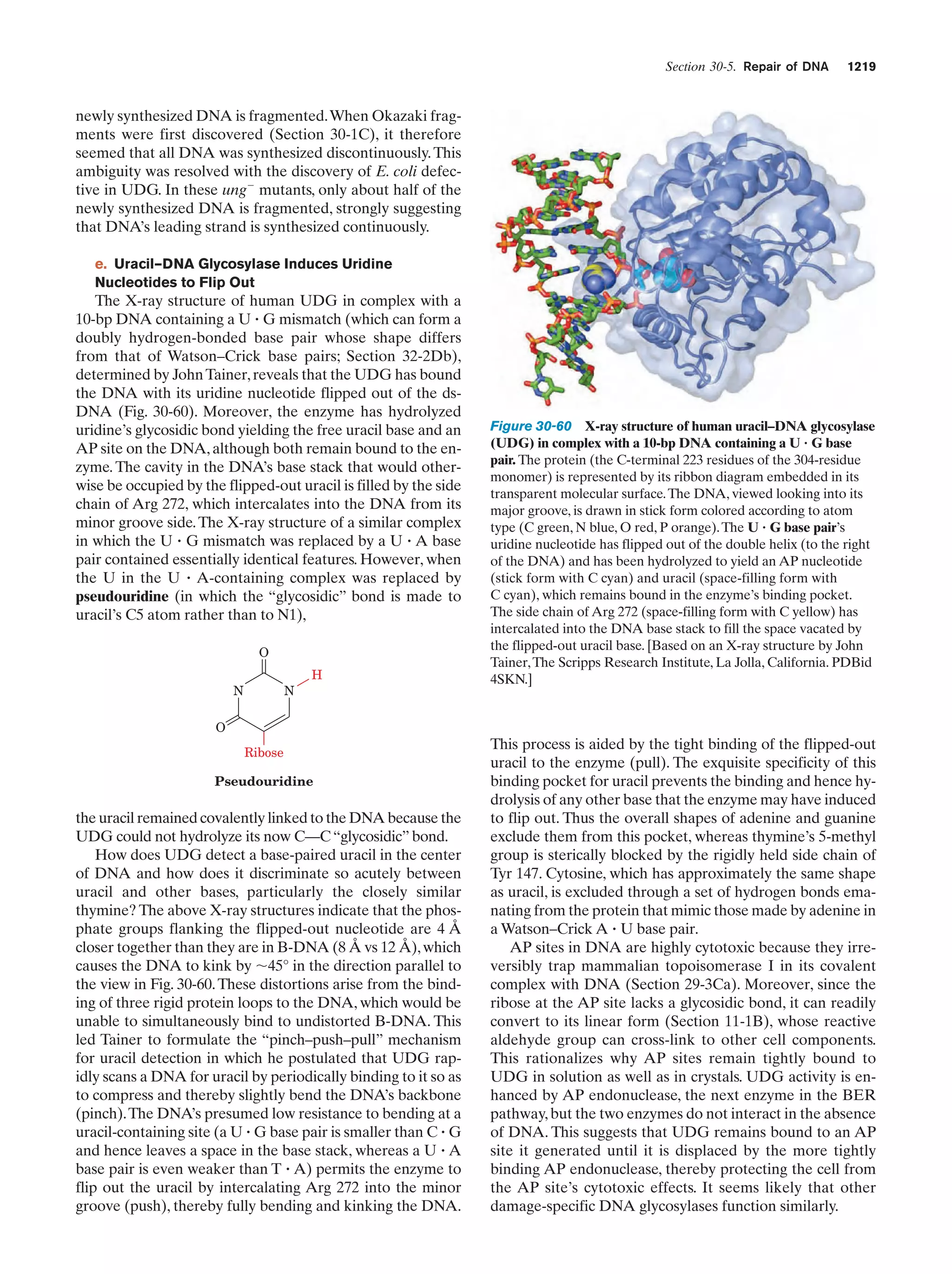 Biochemistry.4th.edition