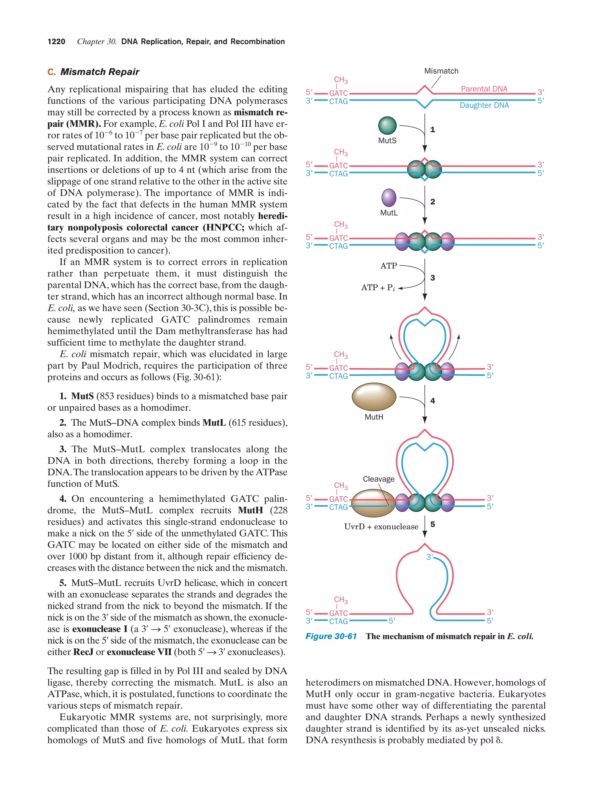 Biochemistry.4th.edition