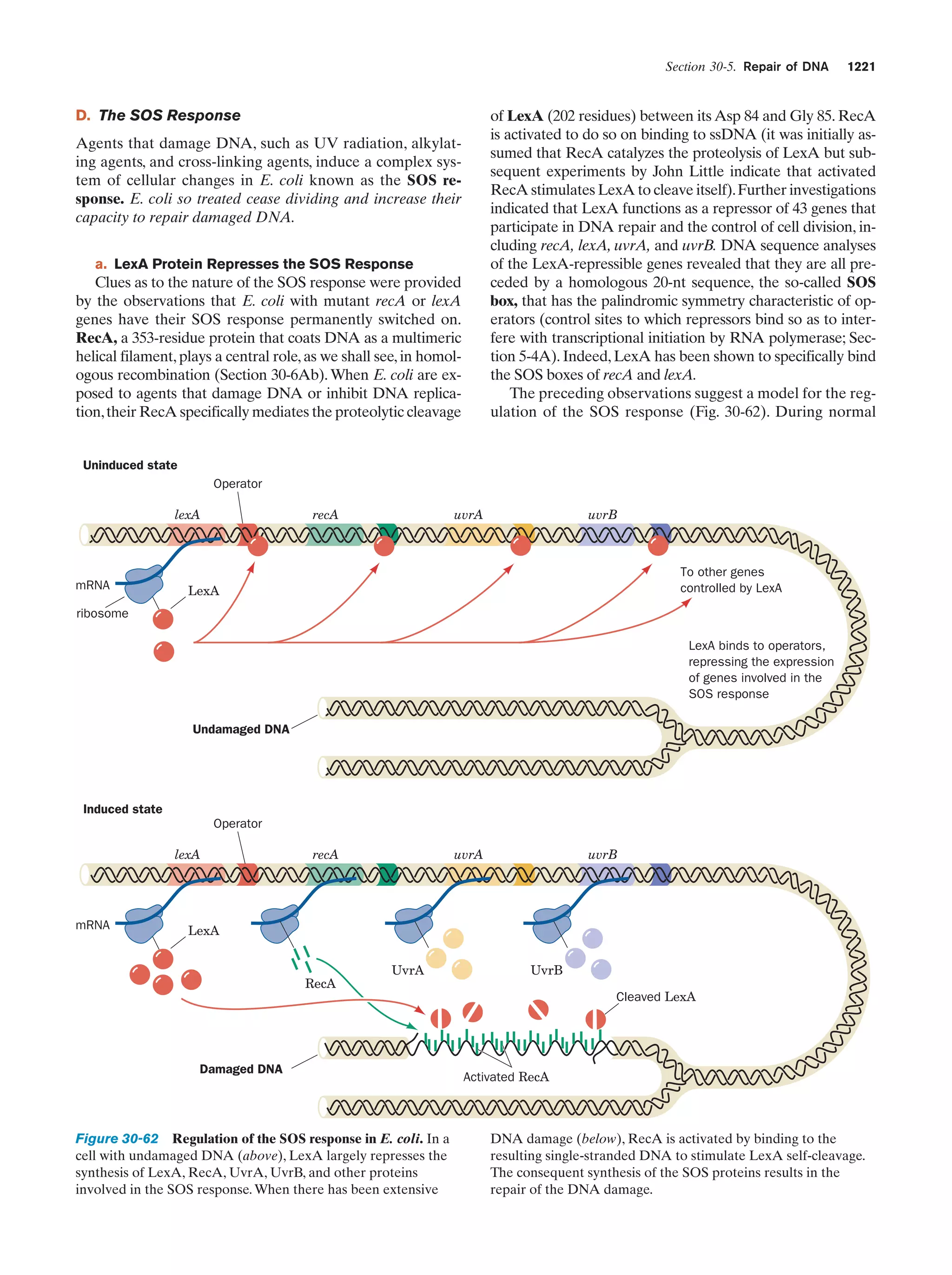 Biochemistry.4th.edition