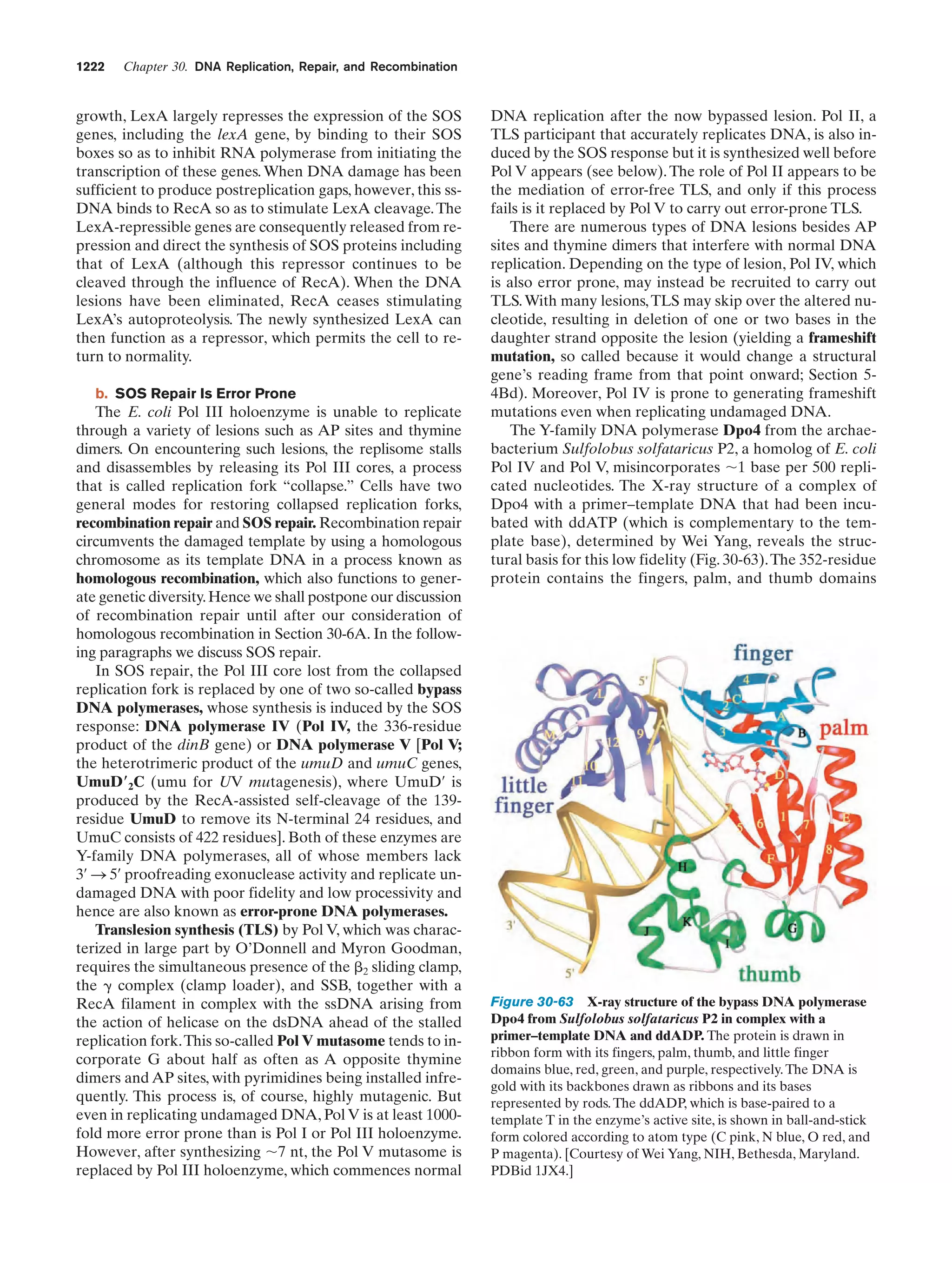 Biochemistry.4th.edition