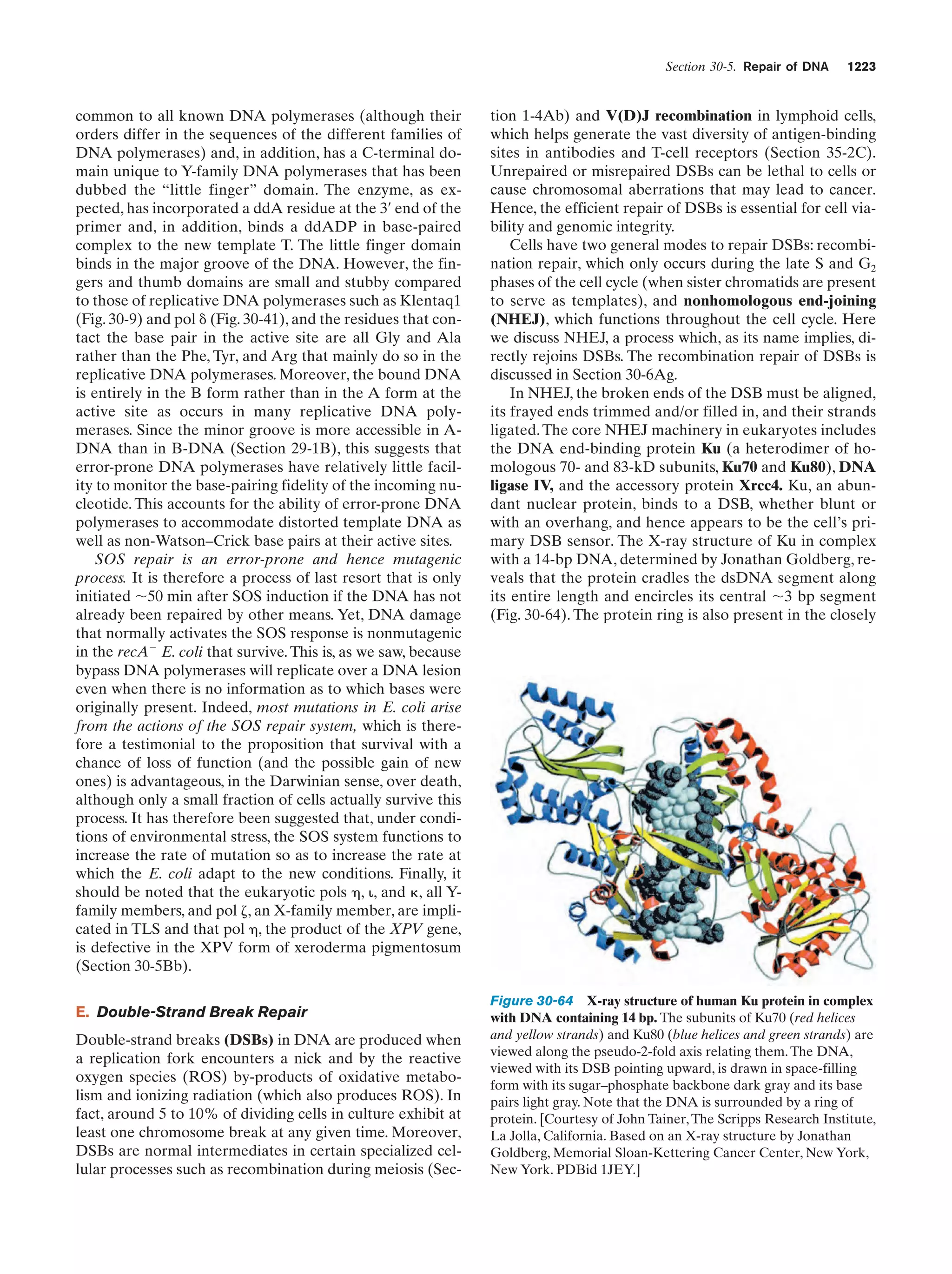 Biochemistry.4th.edition