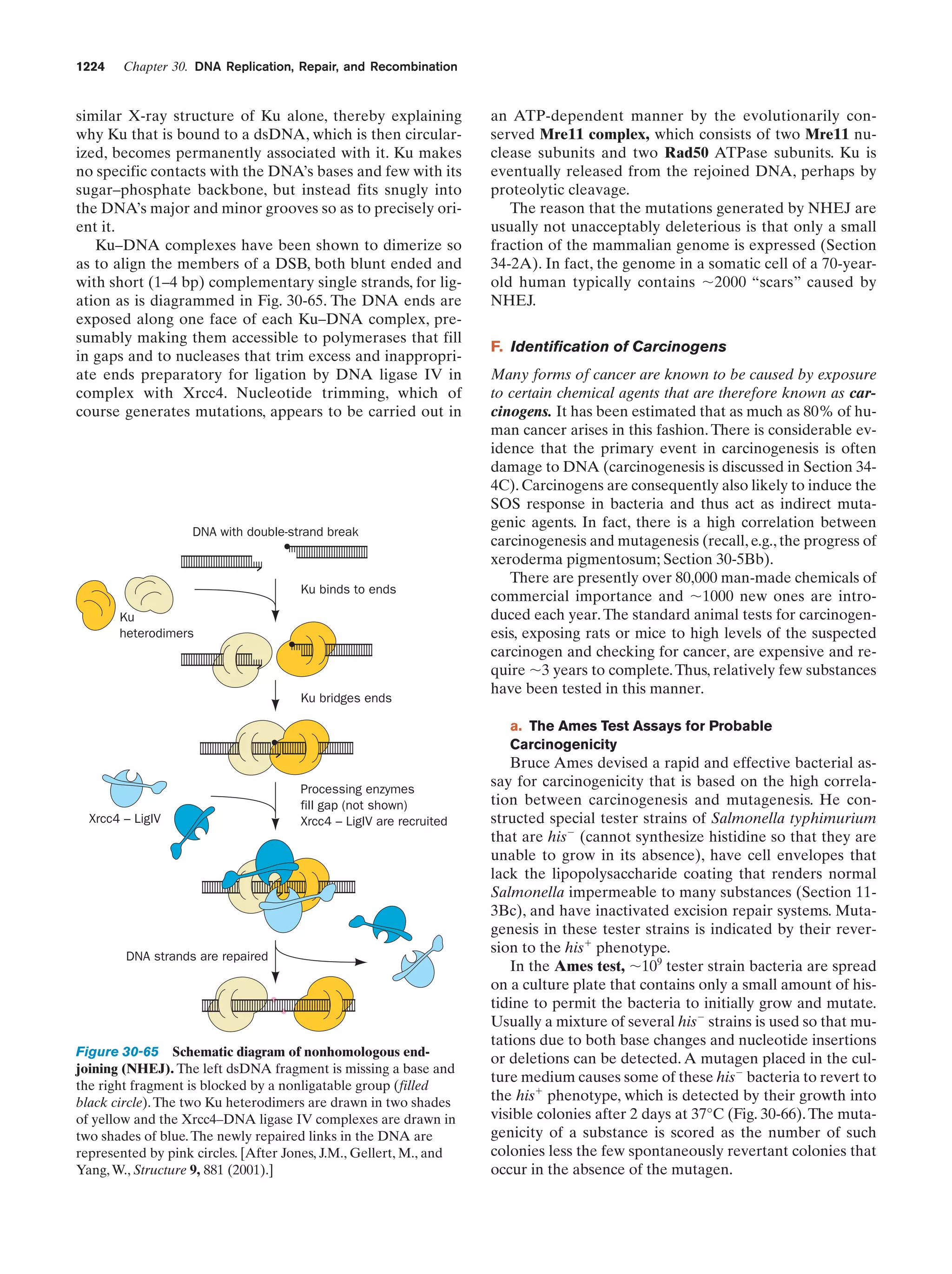 Biochemistry.4th.edition