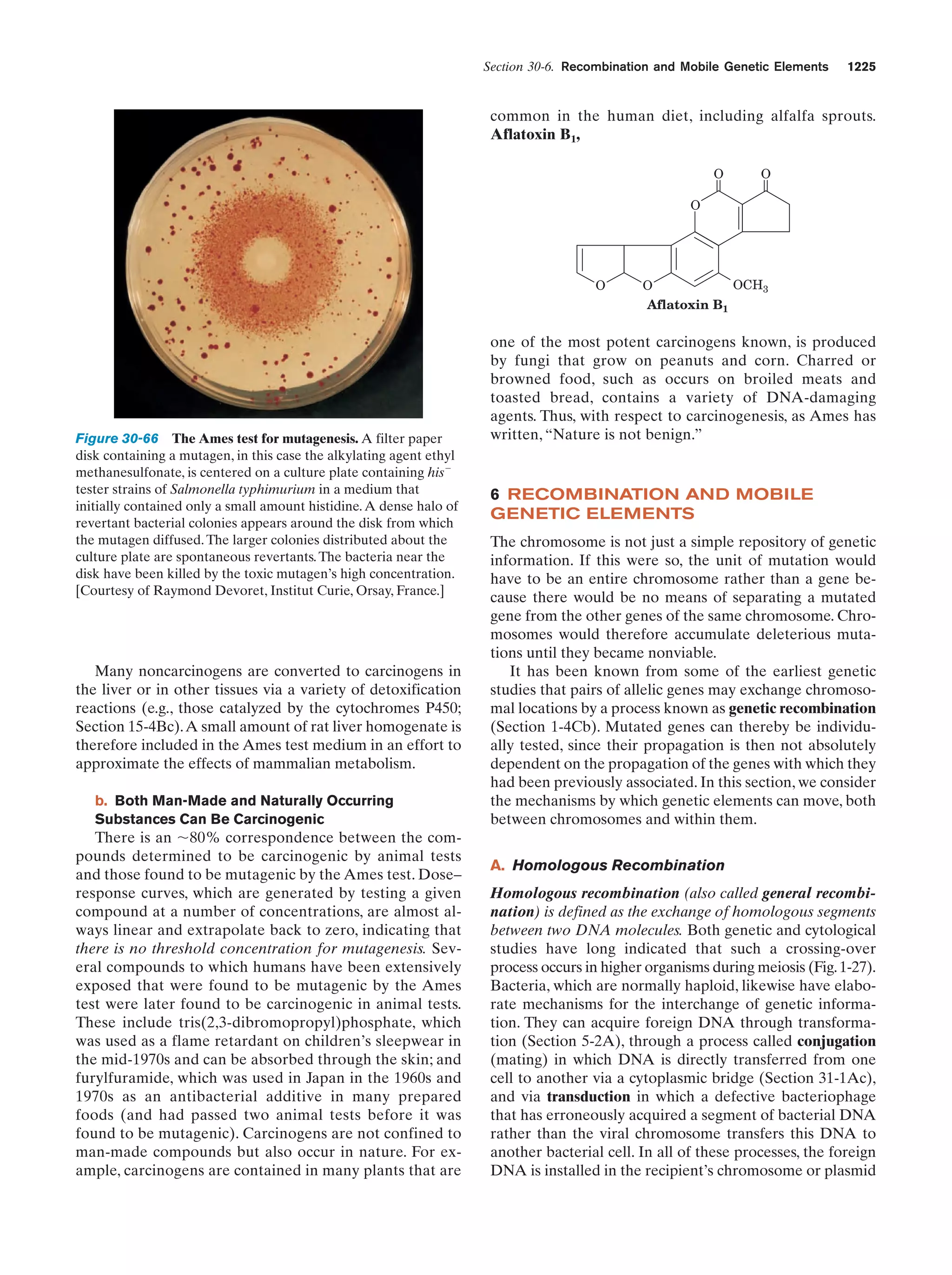 Biochemistry.4th.edition