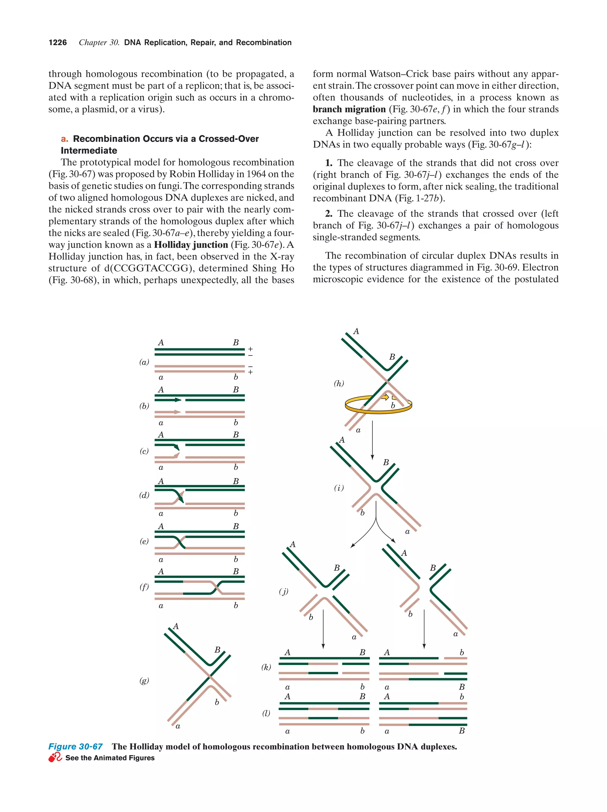 Biochemistry.4th.edition