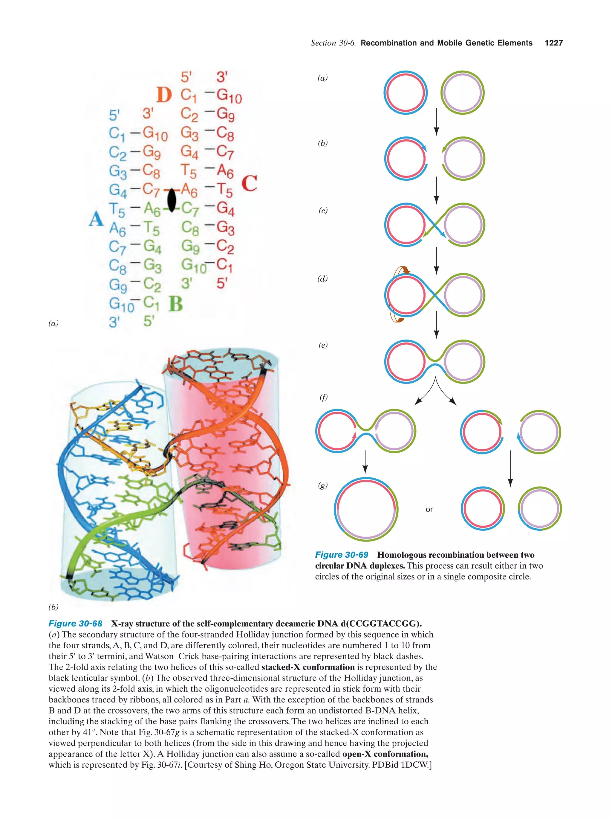 Biochemistry.4th.edition