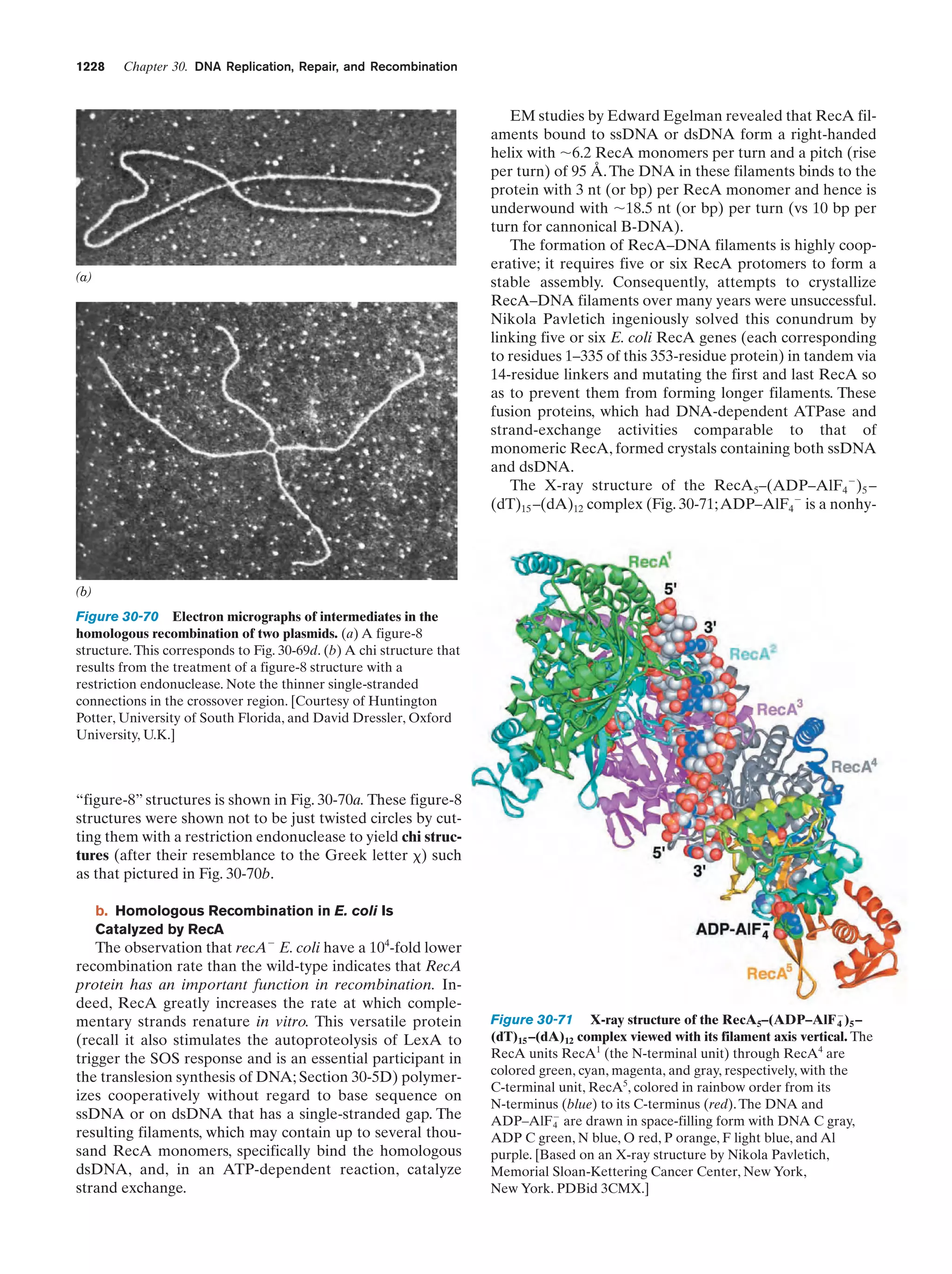 Biochemistry.4th.edition