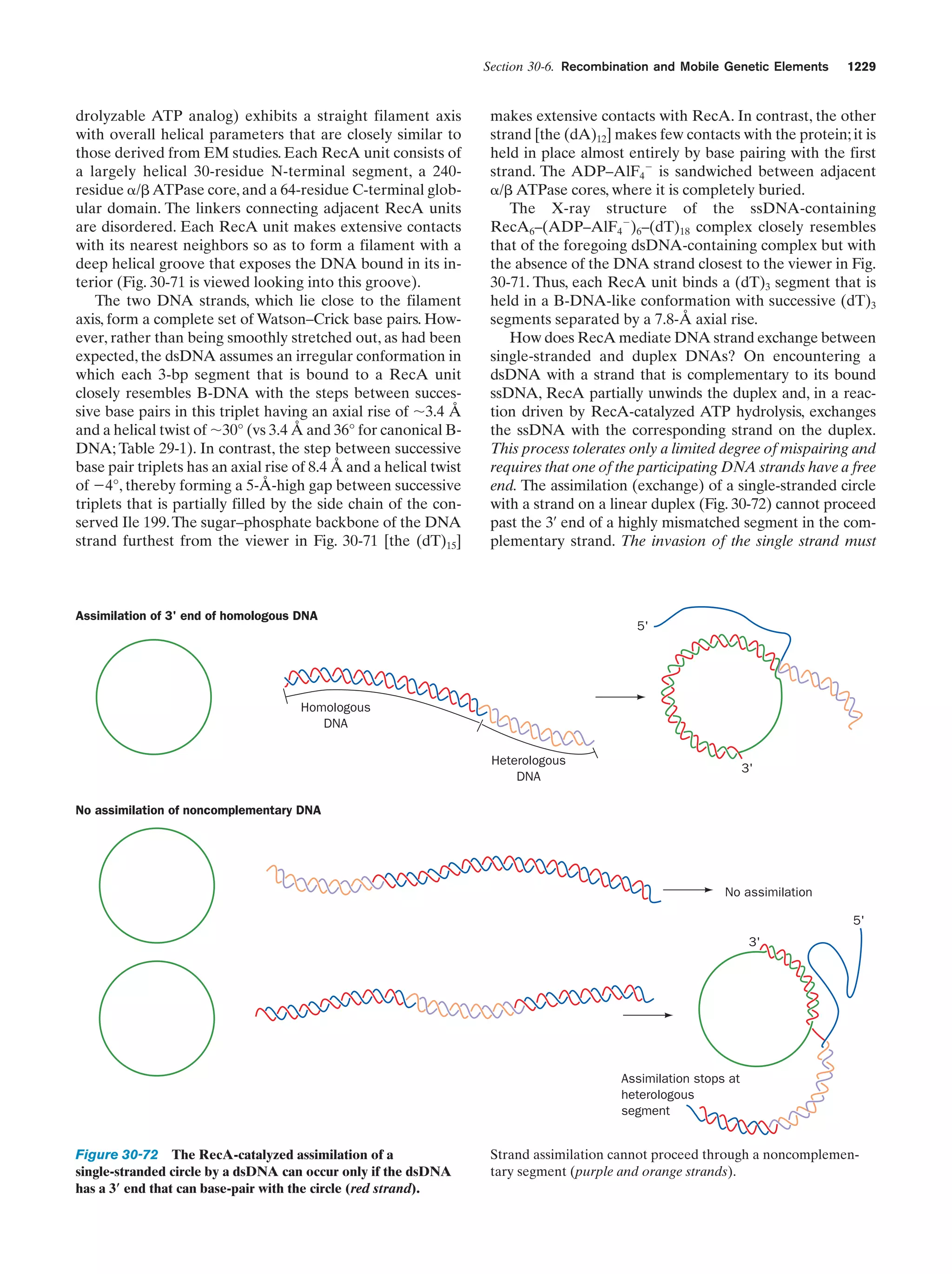 Biochemistry.4th.edition
