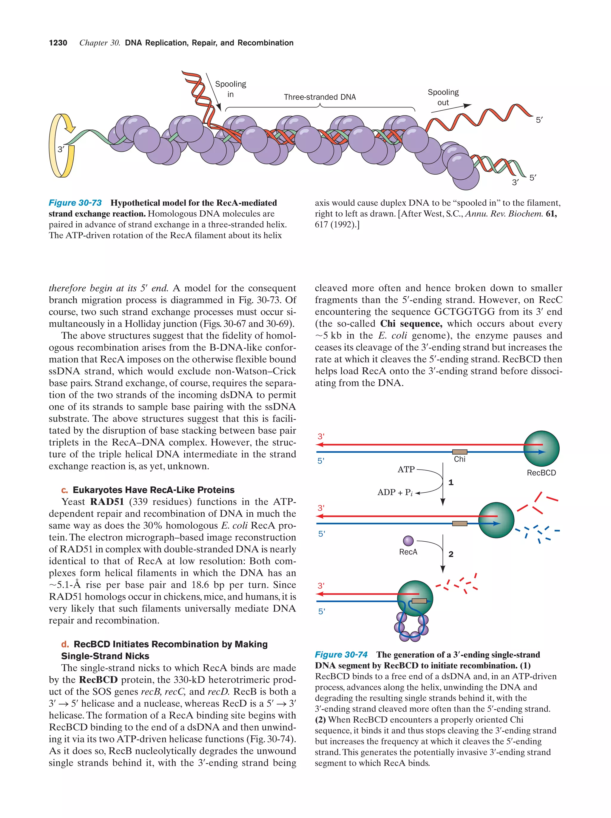 Biochemistry.4th.edition